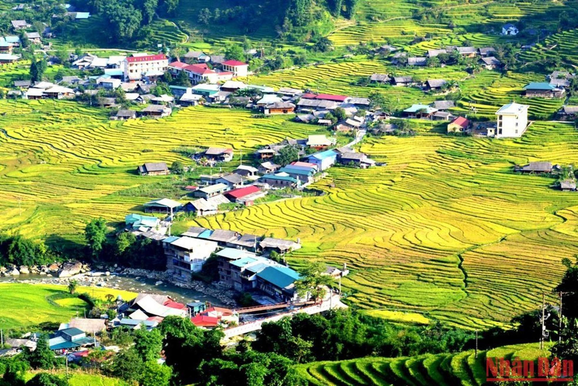 El grupo étnico Giay, en la comuna de Ta Van, se reúne en las tierras bajas al pie de la majestuosa montaña Hoang Lien. El grupo étnico Giay, en la comuna de Ta Van, se reúne en las tierras bajas al pie de la majestuosa montaña Hoang Lien.