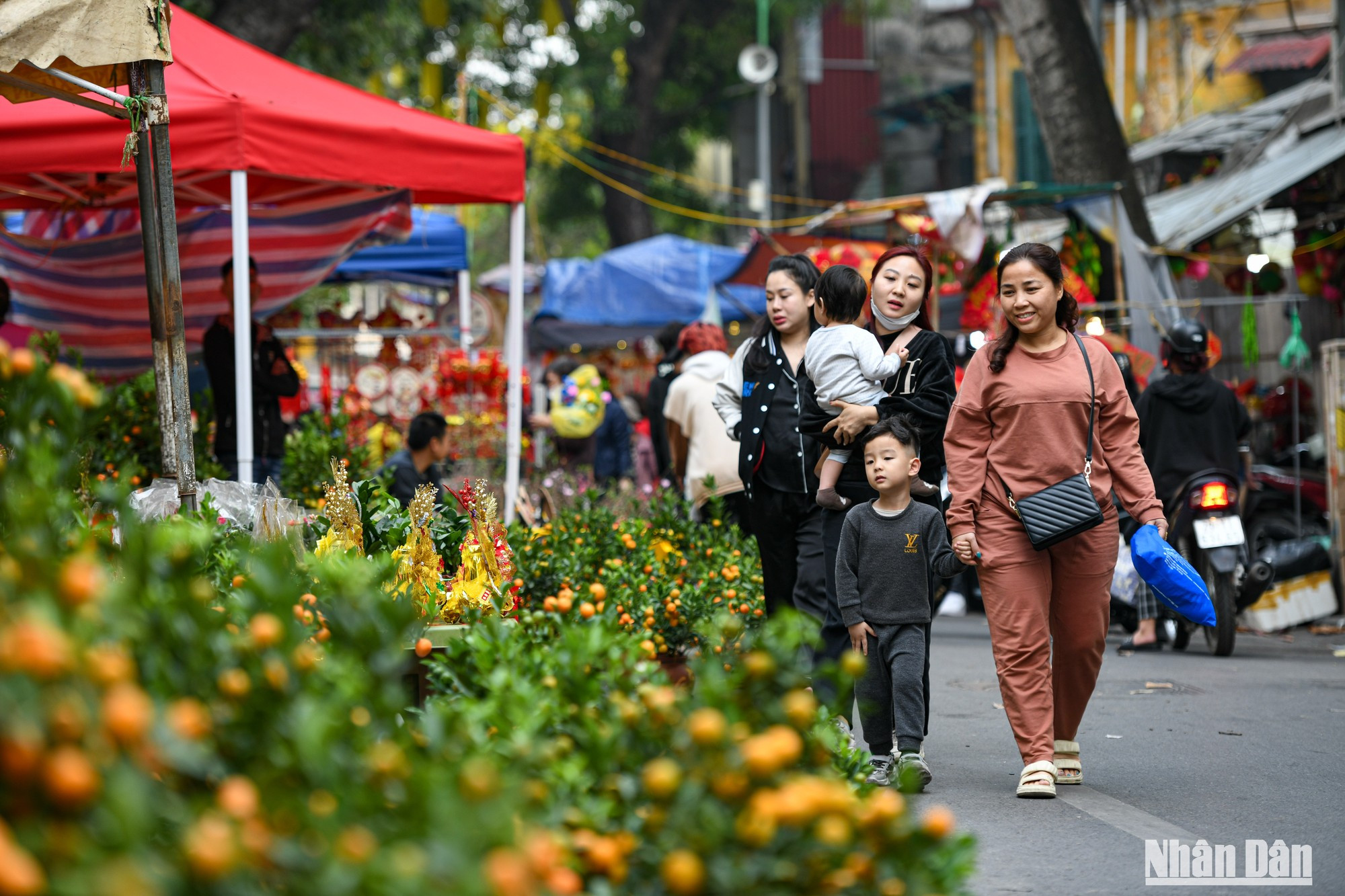 El mercado se llena de los colores tradicionales del Tet gracias a los ramos de melocotones Nhat Tan, kumquats Tu Lien y todo tipo de flores, artículos de la mayor fiesta de Vietnam.