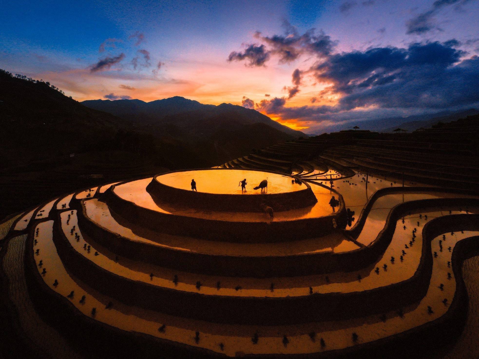 Los campos en terrazas se extienden por las laderas de las montañas.