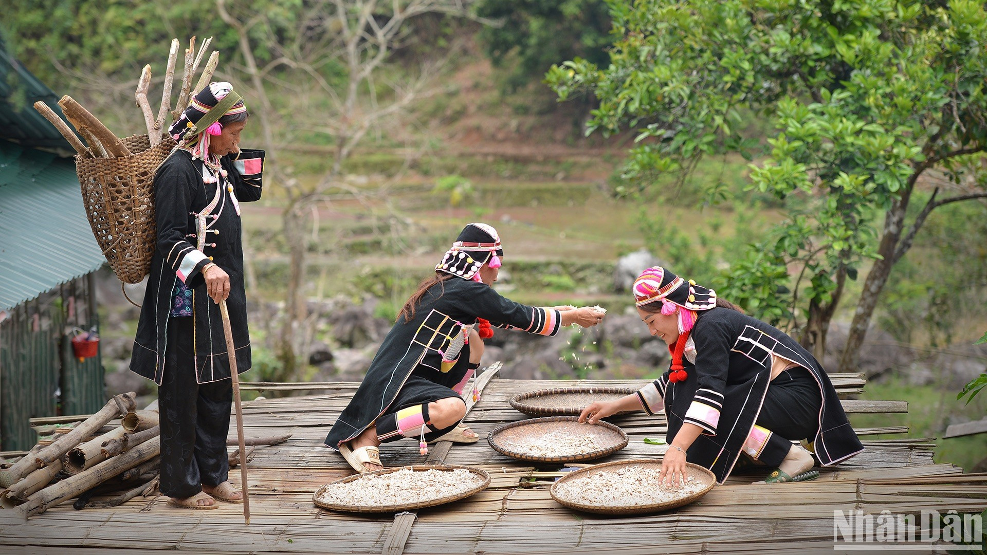 La vida de los habitantes de Pa Pang depende principalmente de la producción agrícola.