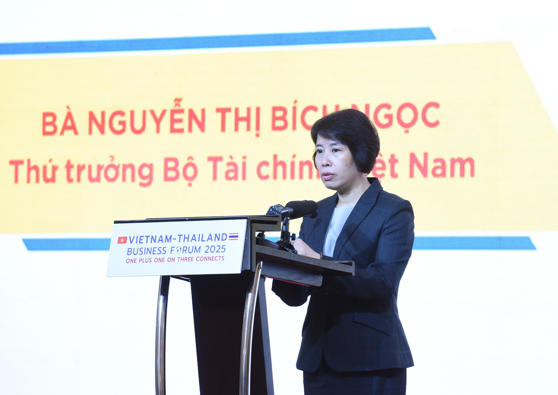 La viceministra de Finanzas de Vietnam Nguyen Thi Bich Ngoc habla en la cita. La viceministra de Finanzas de Vietnam Nguyen Thi Bich Ngoc habla en la cita.