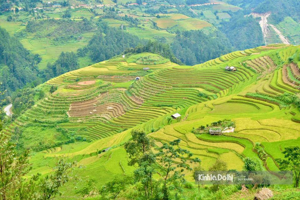 Los bosques, las montañas, las nubes y los campos en terrazas parecen mezclarse para crear un cuadro de la naturaleza poético y majestuoso.