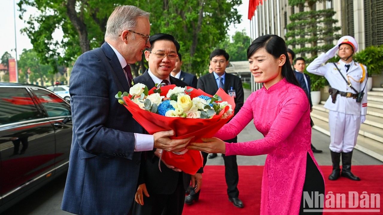 Miembro de la Oficina de la Asamblea Nacional de Vietnam entrega flores para dar la bienvenida al primer ministro australiano, Anthony Albanese. Miembro de la Oficina de la Asamblea Nacional de Vietnam entrega flores para dar la bienvenida al primer ministro australiano, Anthony Albanese.