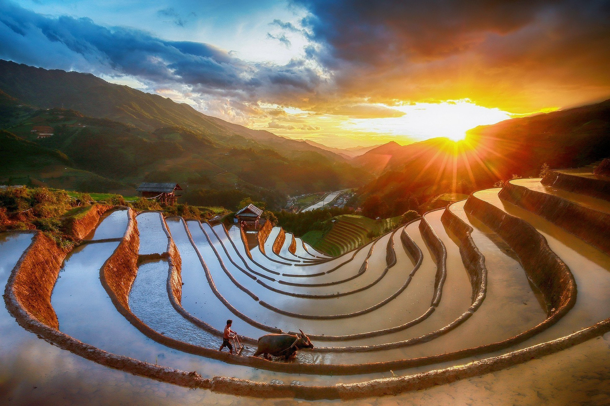El reflejo del agua mezclado con el sol y el color verde de brote de arroz joven crean una imagen fascinante.