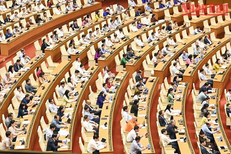 Escena de la sesión. Escena de la sesión.