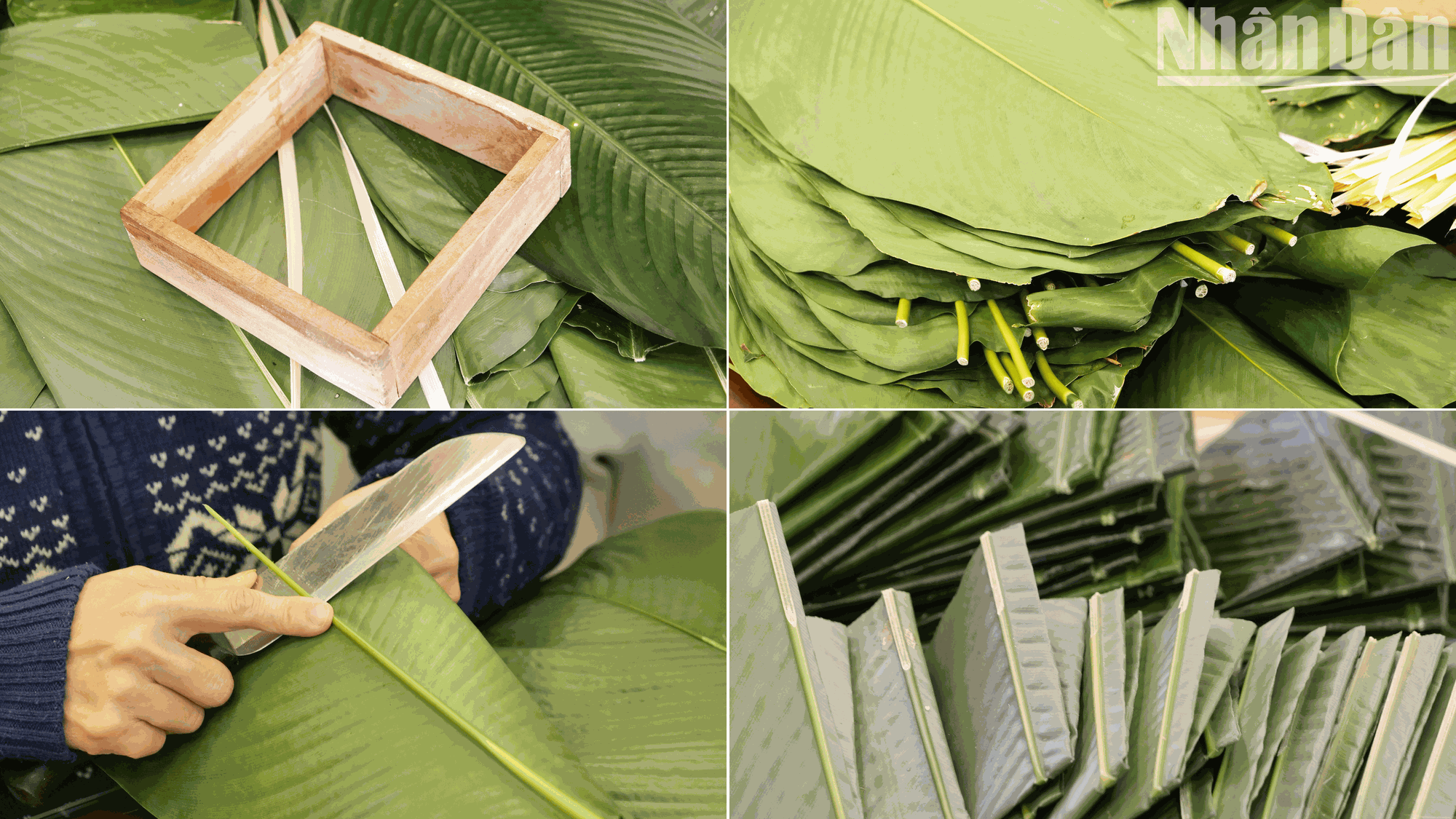 La etapa de recorte y plegado de las hojas de dong.