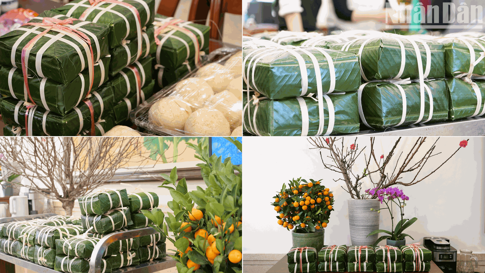 Banh chung en la atmósfera de Tet con ramas de durazno y árbol de kumquat.