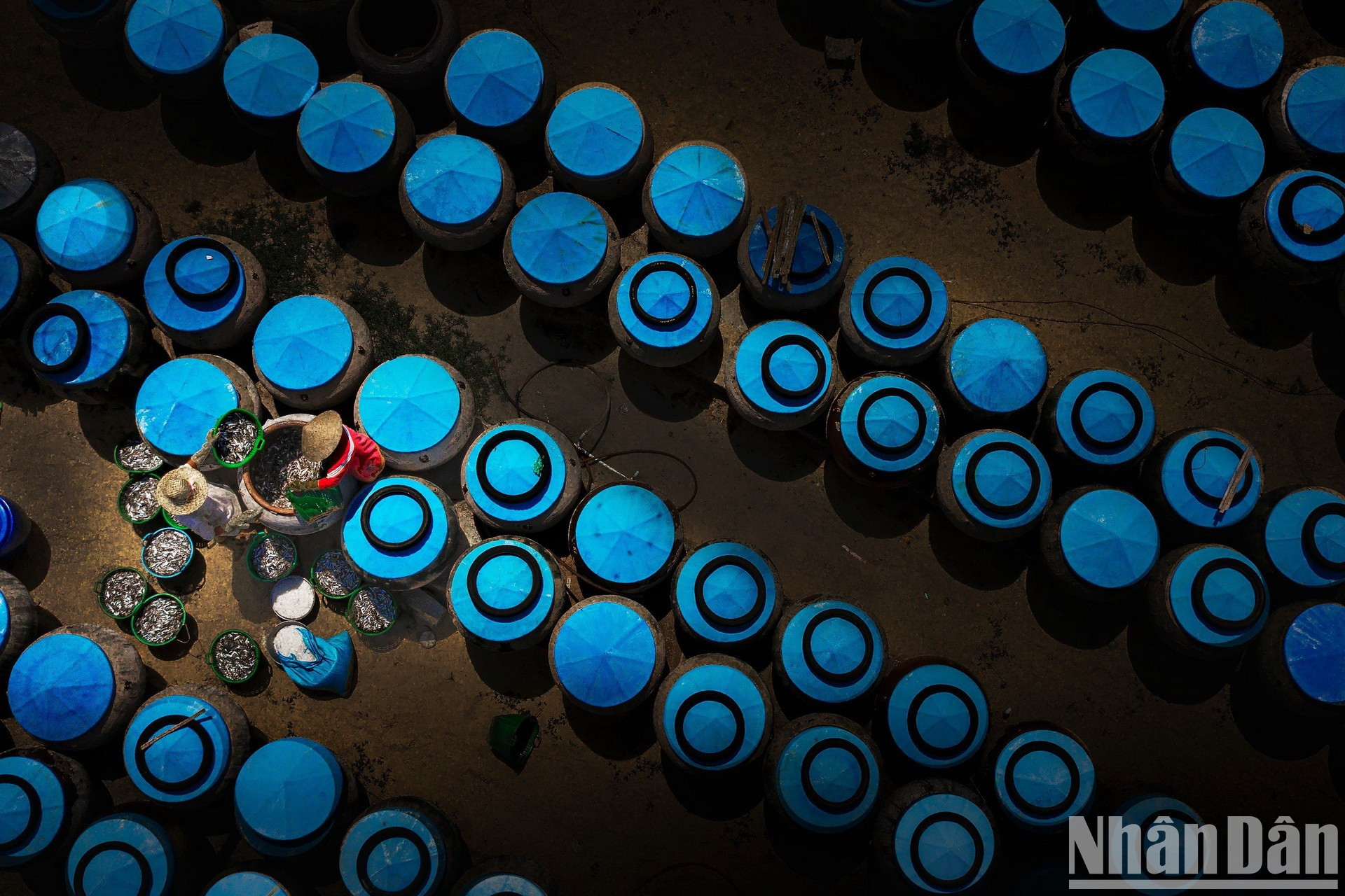 Los pescadores elaboran salsa de pescado.