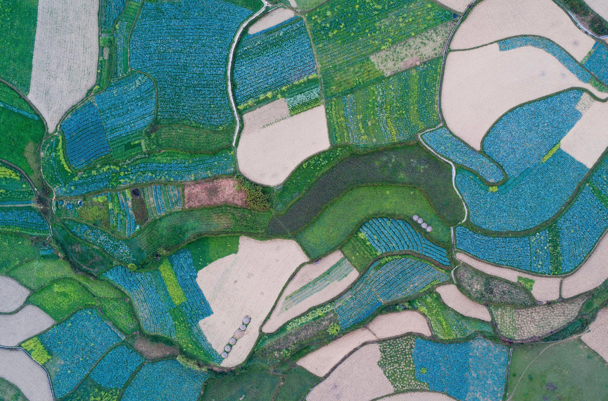 Campos de hortalizas en Quan Ba a vista de pájaro.