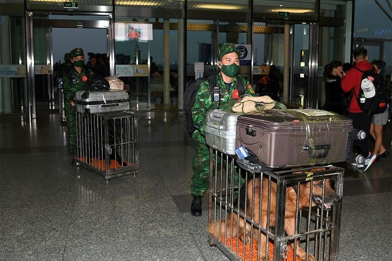 Se avecinan días duros para los perros rescatistas.