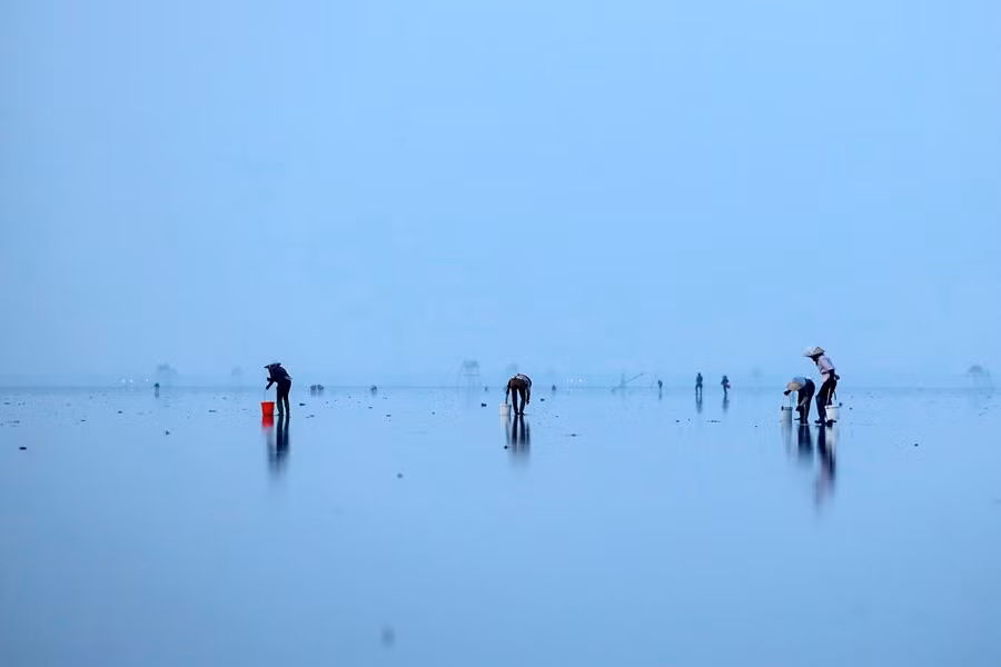 Finales de verano, principios de otoño (de julio a octubre) es el momento ideal para visitar y contemplar el "mar infinito", cuando el viento es ligero y el amanecer, hermoso. Finales de verano, principios de otoño (de julio a octubre) es el momento ideal para visitar y contemplar el "mar infinito", cuando el viento es ligero y el amanecer, hermoso.
