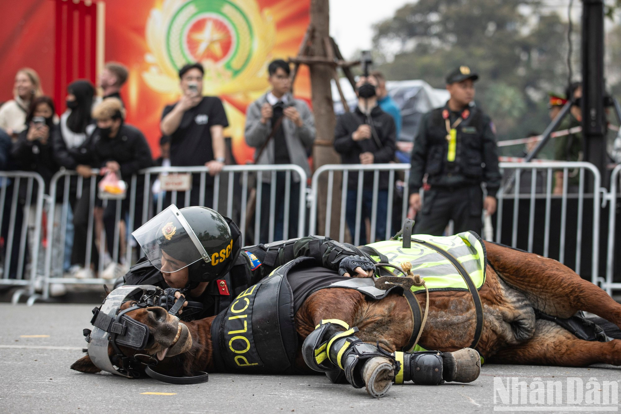 Actuación de la Policía Móvil Montada. Actuación de la Policía Móvil Montada.