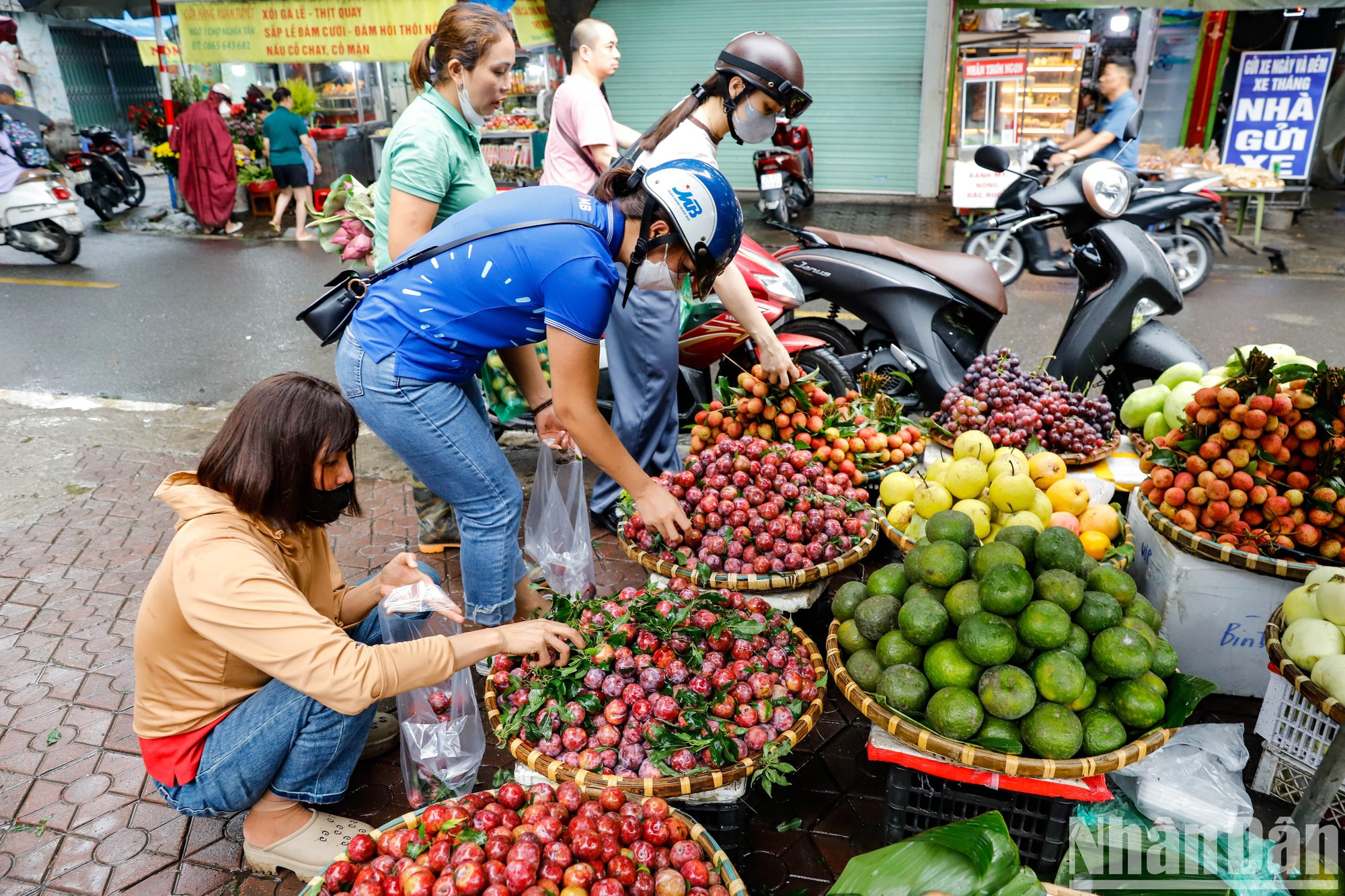 Al mismo tiempo, las amas de casa llegan temprano al mercado de Nghia Tan, en el distrito de Cau Giay, para elegir la fruta que expondrán en bandejas de ofrendas. Al mismo tiempo, las amas de casa llegan temprano al mercado de Nghia Tan, en el distrito de Cau Giay, para elegir la fruta que expondrán en bandejas de ofrendas.