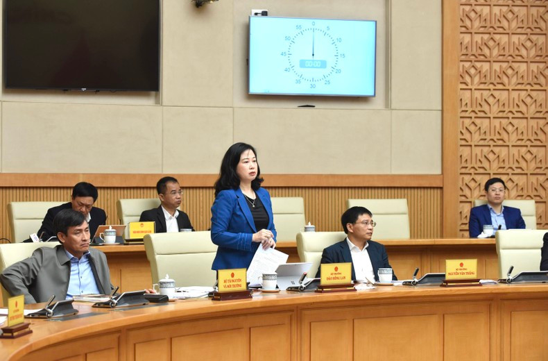 La ministra de Salud Pública, Dao Hong Lan, en la reunión.