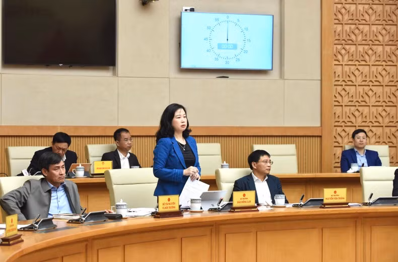 La ministra de Salud Pública, Dao Hong Lan, en la reunión.