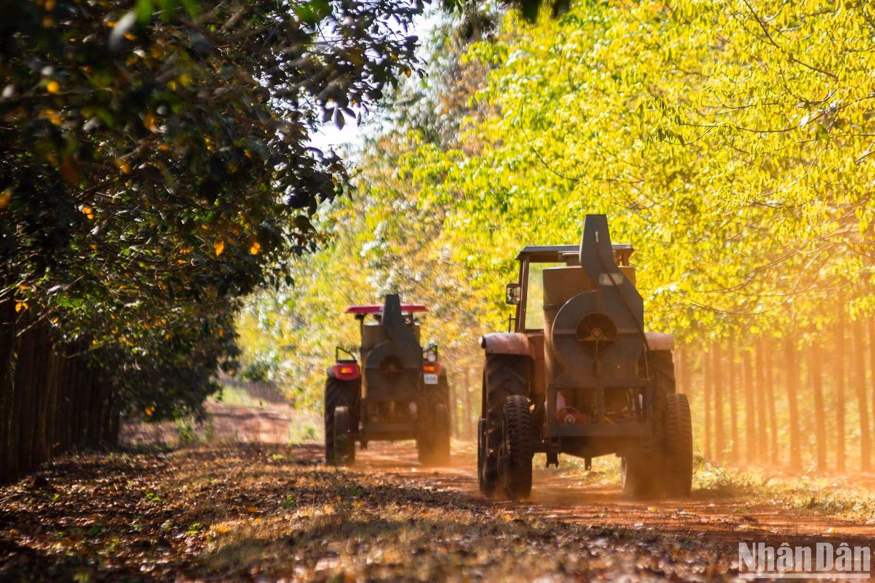 Tractores llevan los plaguicidas. Tractores llevan los plaguicidas.