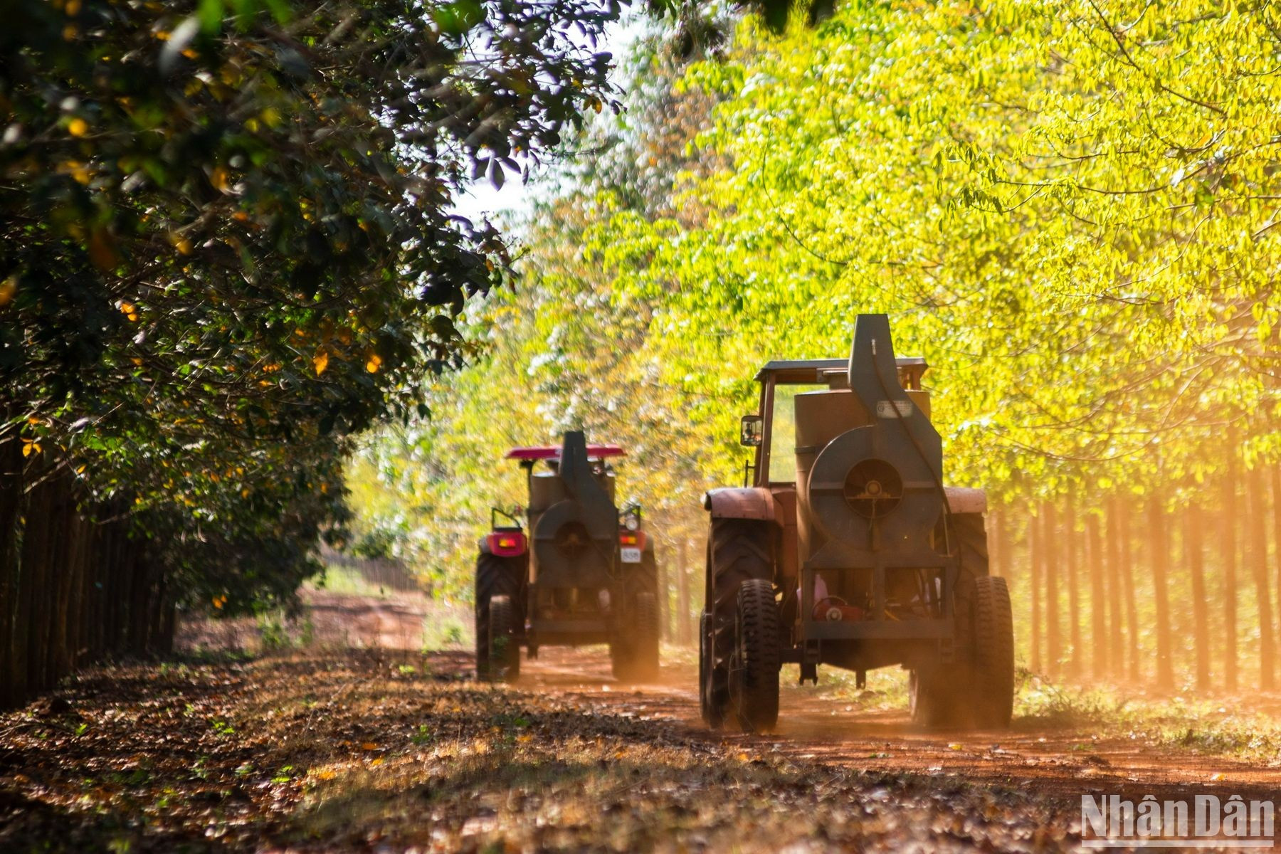 Tractores llevan los plaguicidas. Tractores llevan los plaguicidas.