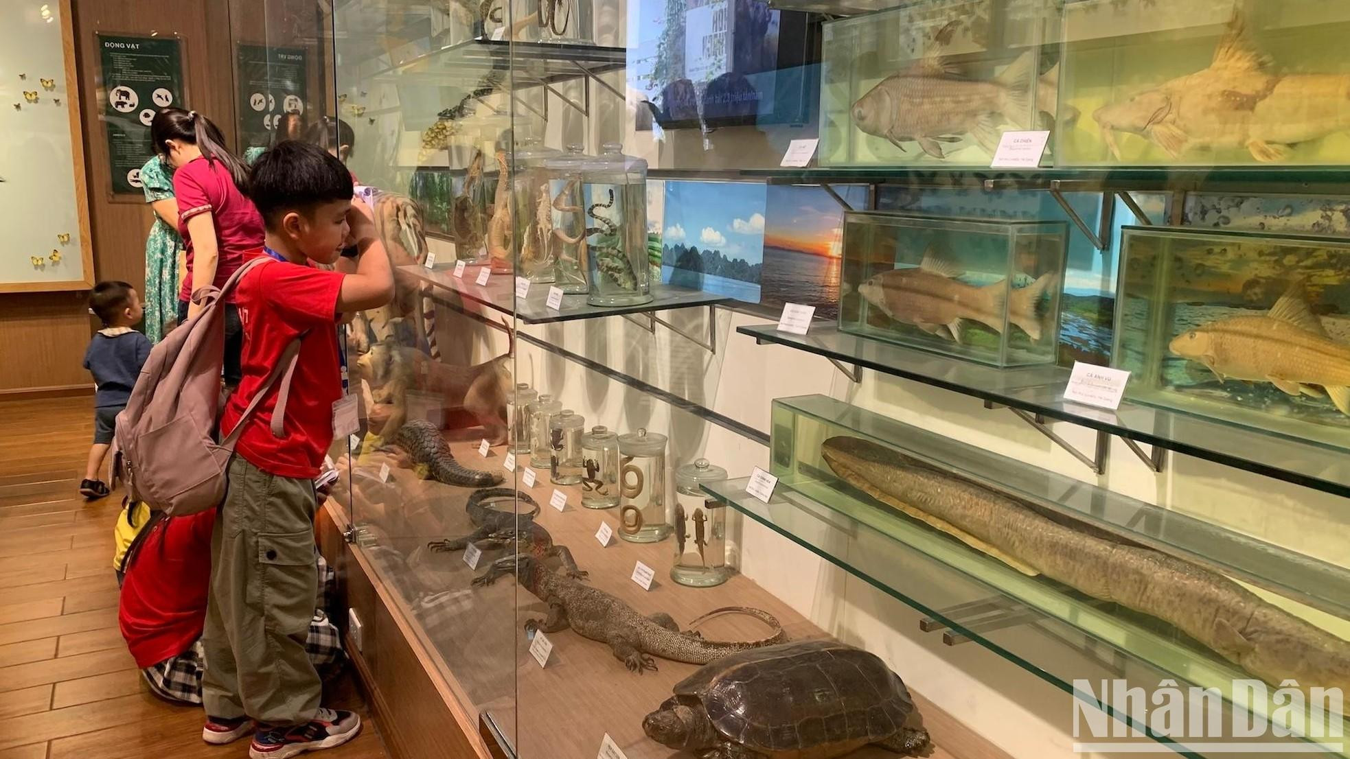 Las muestras como materiales para el estudio biológico.