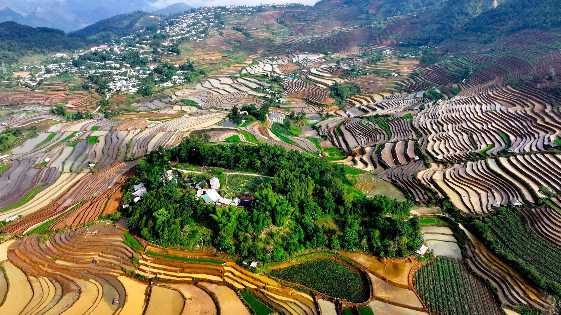 Vistas desde arriba, las terrazas de arroz parecen pinturas de colores de las altas montañas y enamoran a turistas y fotógrafos.