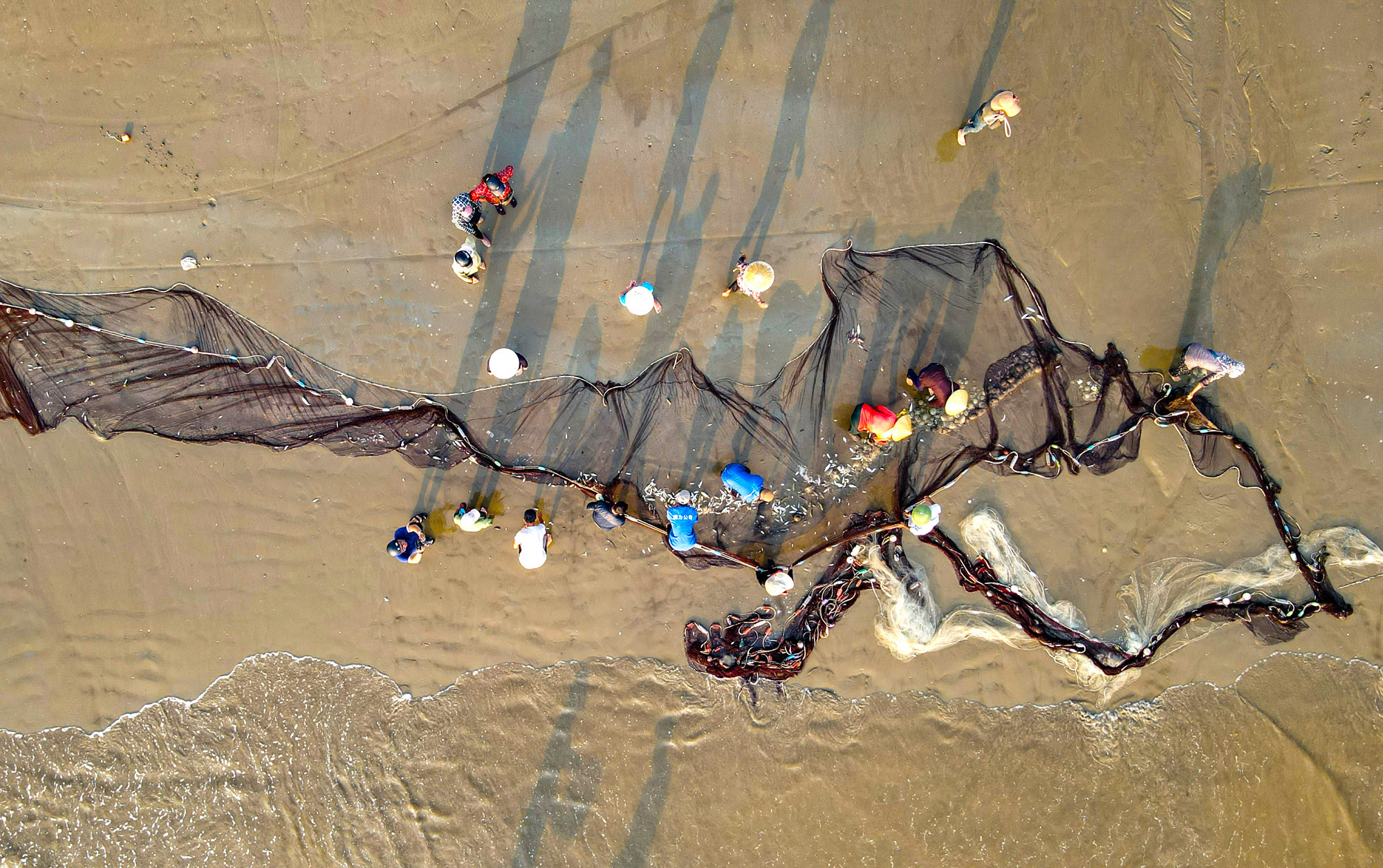 La gente recoge los mariscos.