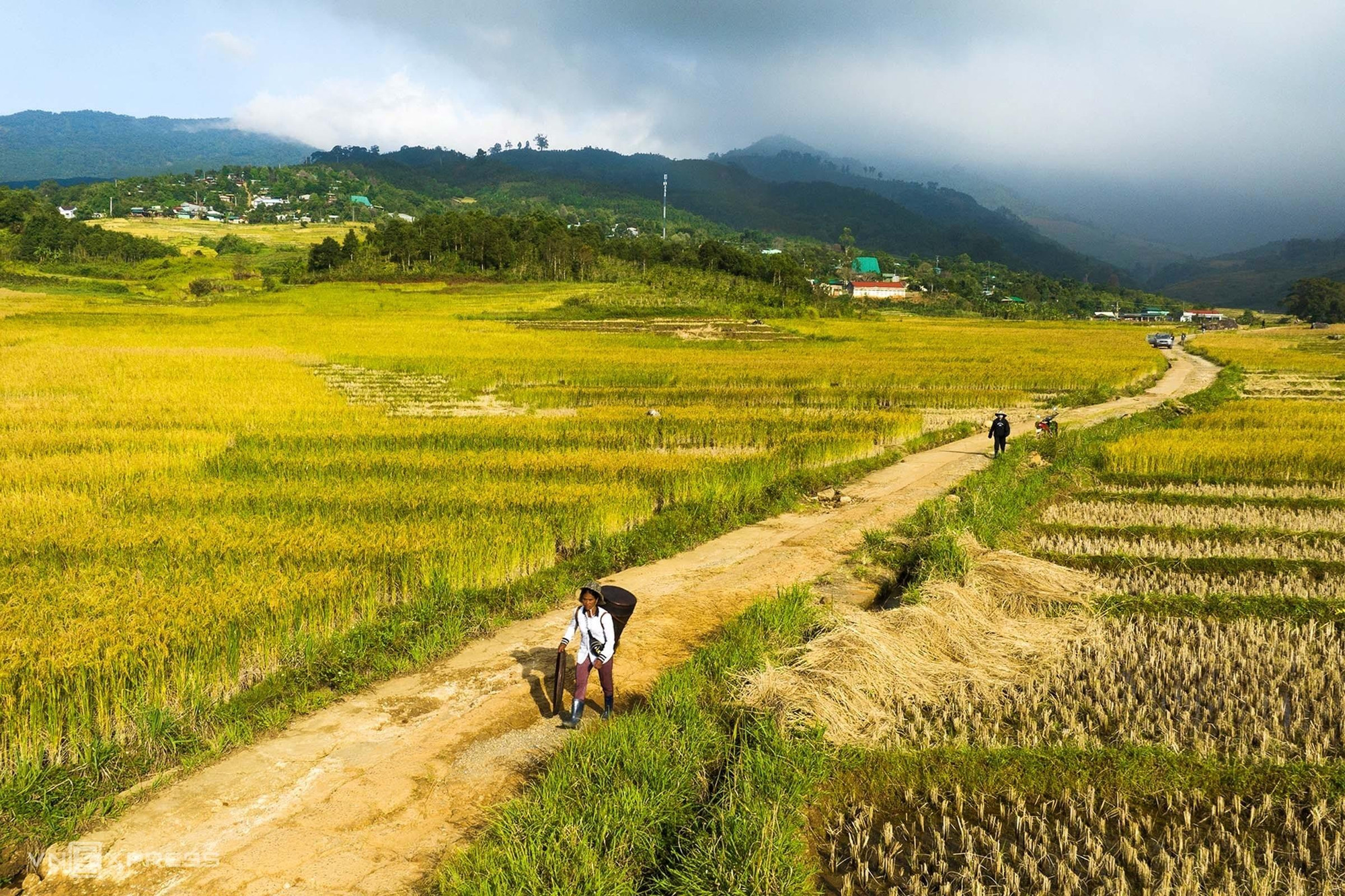 Las personas almacenan el arroz en un lugar seco para evitar la humedad, de modo que puedan usarlo hasta la temporada del próximo año. Las personas almacenan el arroz en un lugar seco para evitar la humedad, de modo que puedan usarlo hasta la temporada del próximo año.
