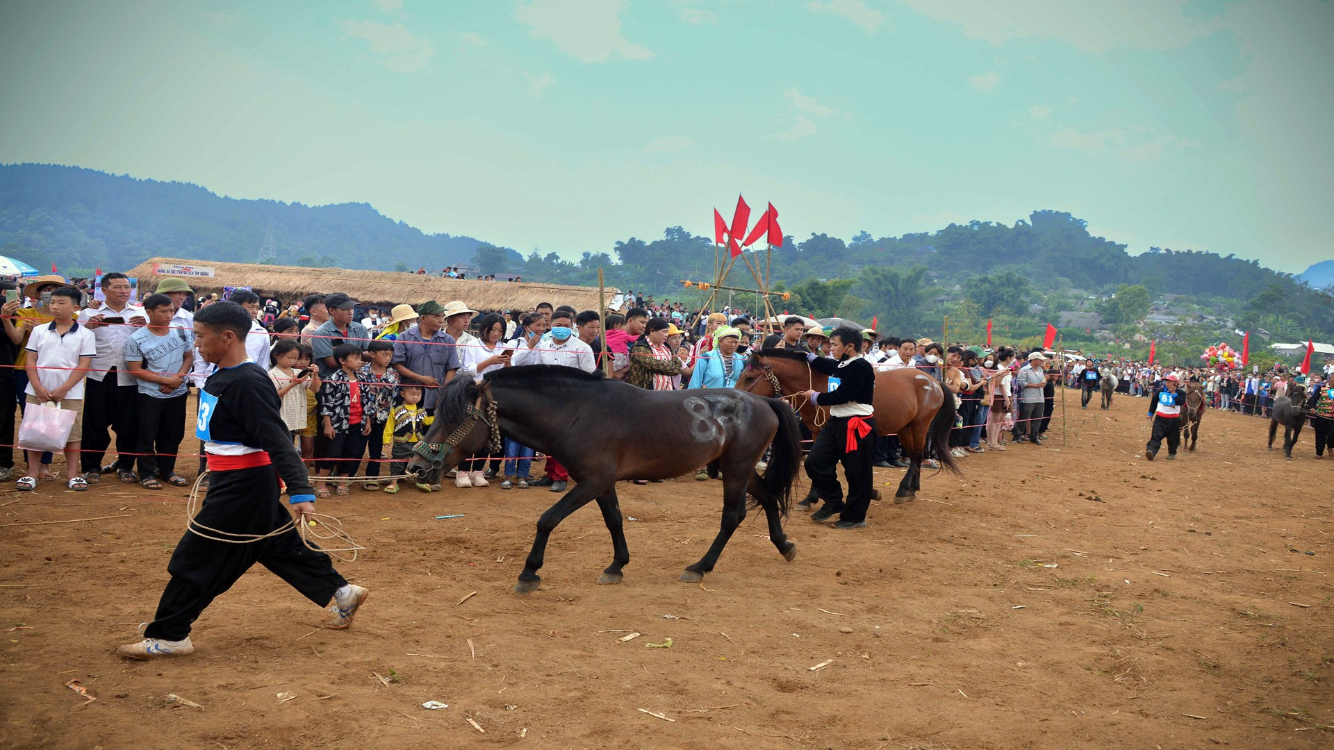 Los caballos que normalmente transportan mercancías ya están listos para correr. Los caballos que normalmente transportan mercancías ya están listos para correr.