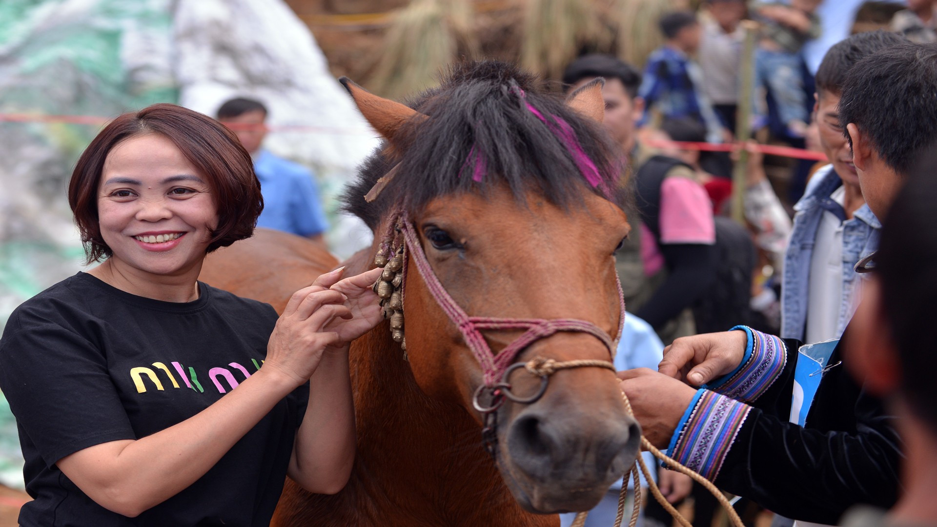 Turistas impresionados por la carrera y los caballos. Turistas impresionados por la carrera y los caballos.