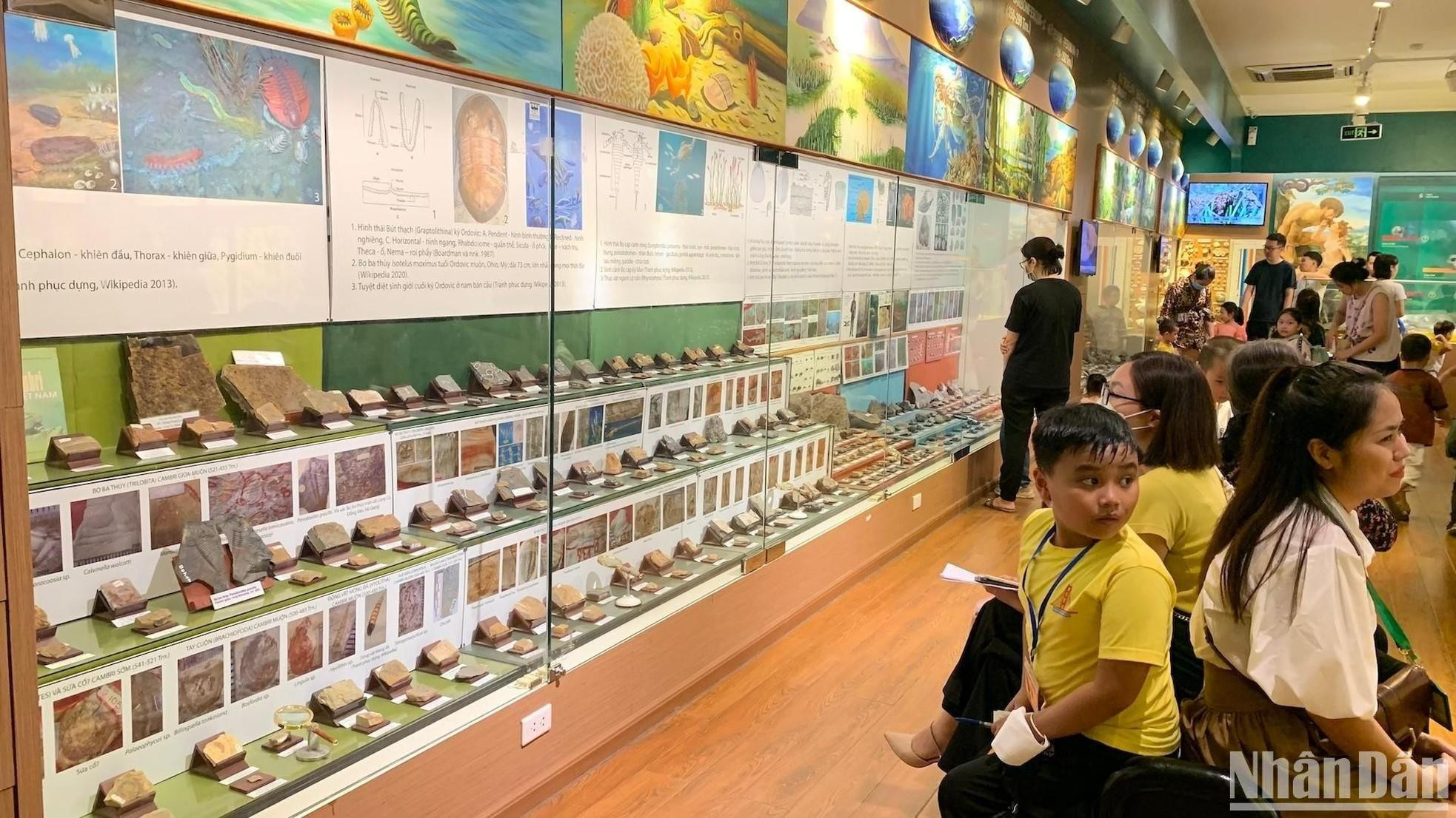 Área de exposición de la historia de la vida con muestras de fósiles típicos de los cuatro eras de desarrollo geológico.