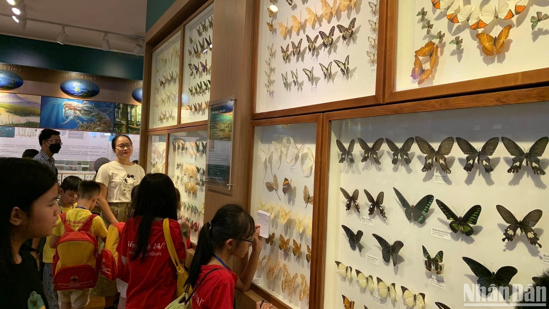 [Foto] Fin de semana agradable en Museo de la Naturaleza de Vietnam