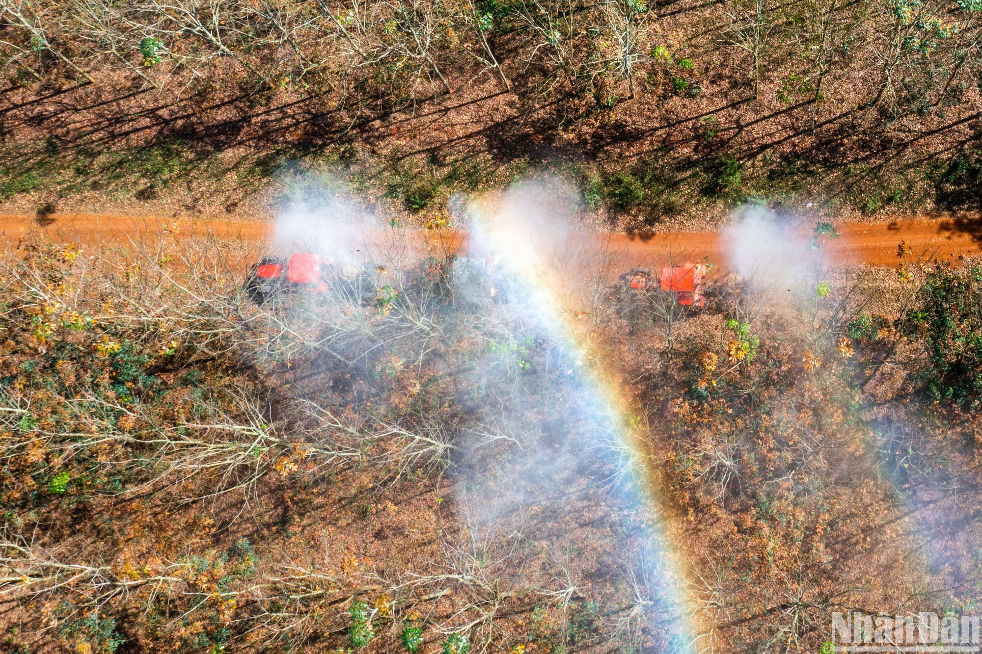 La Compañía General de Caucho de Dong Nai administra más de 35 mil hectáreas de cultivo de este cultivo industrial. La Compañía General de Caucho de Dong Nai administra más de 35 mil hectáreas de cultivo de este cultivo industrial.