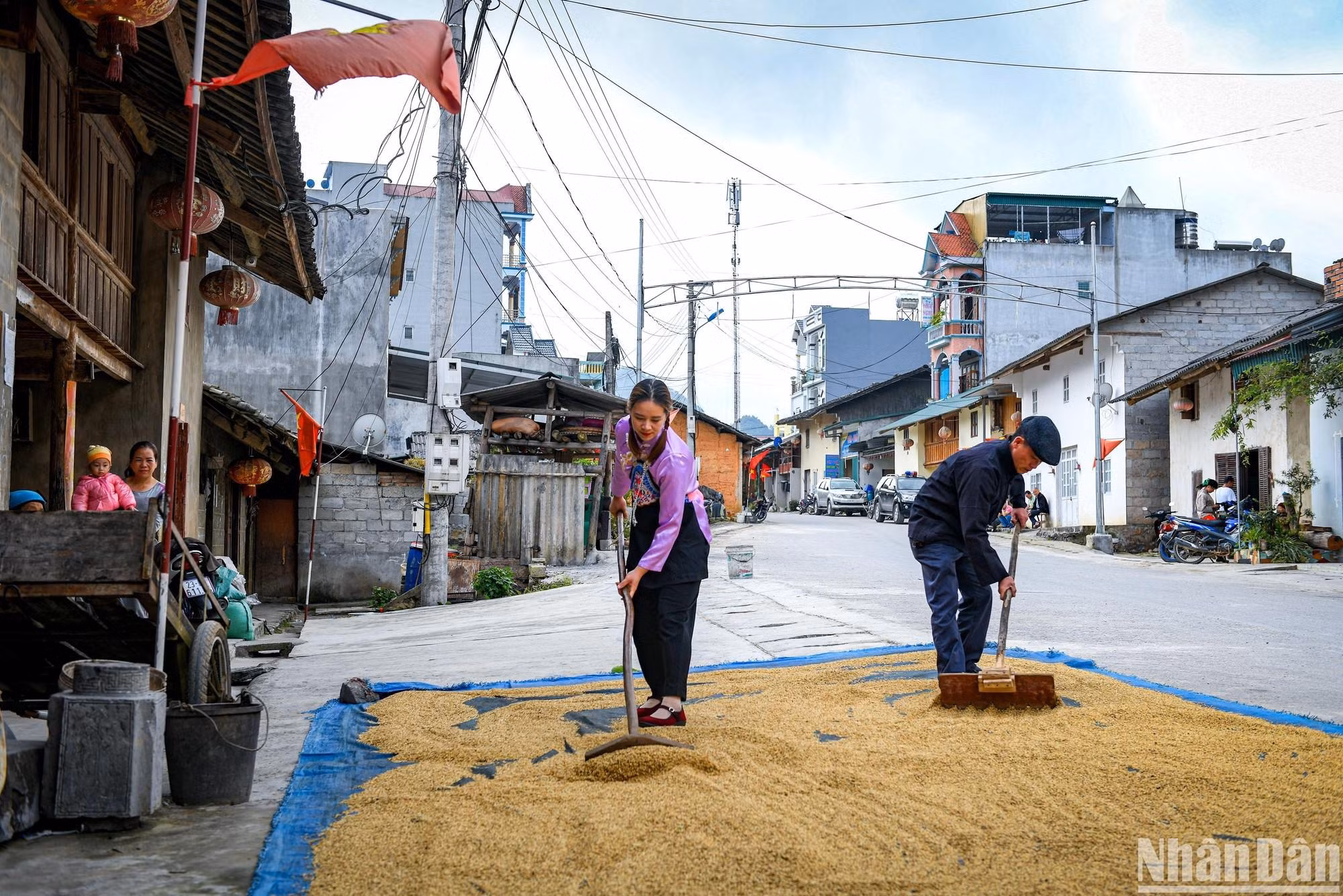 Los Hoa en Pho Bang viven principalmente de la agricultura y los negocios. Los Hoa en Pho Bang viven principalmente de la agricultura y los negocios.