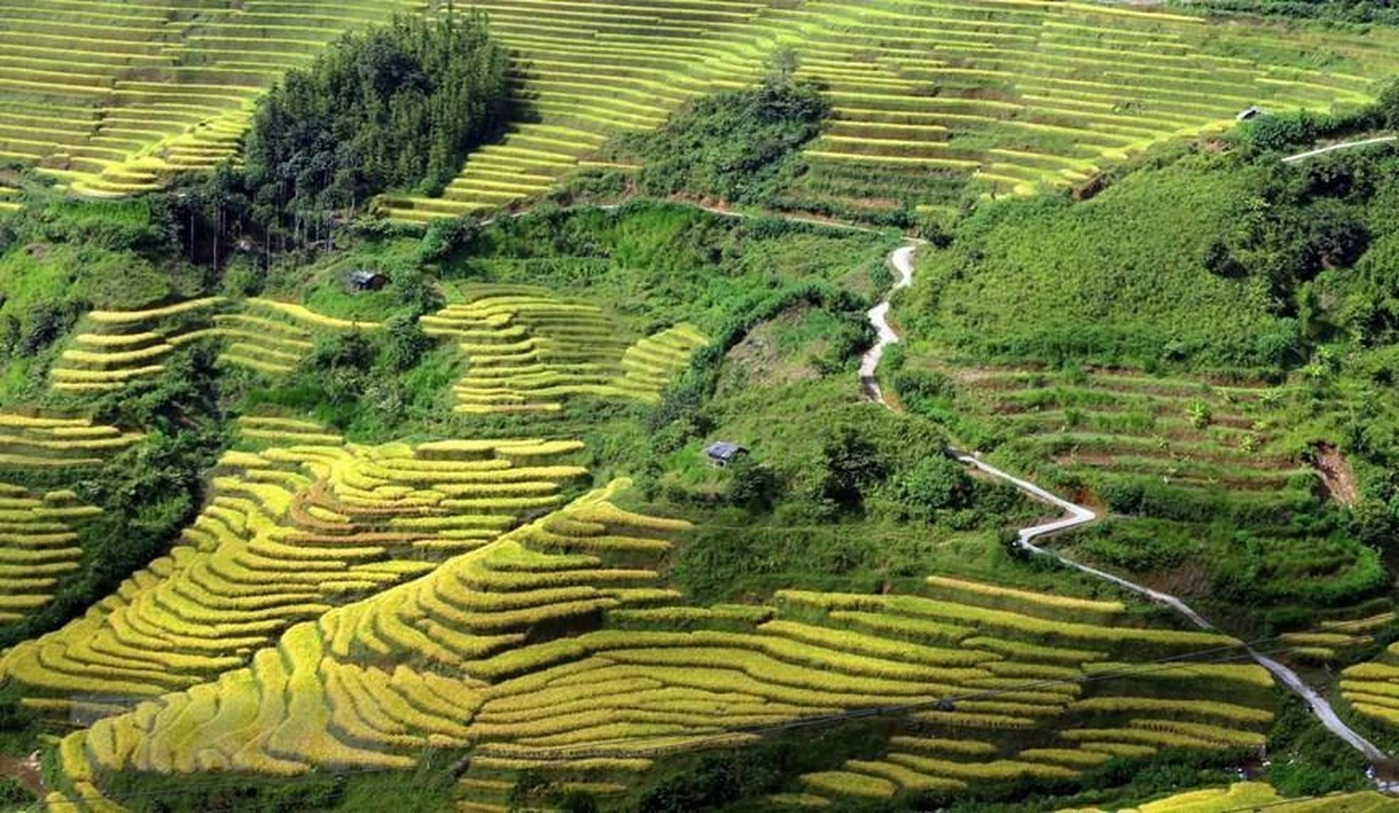 Los campos en terrazas parecen las obras artísticas debajo de las montañas del Noroeste.