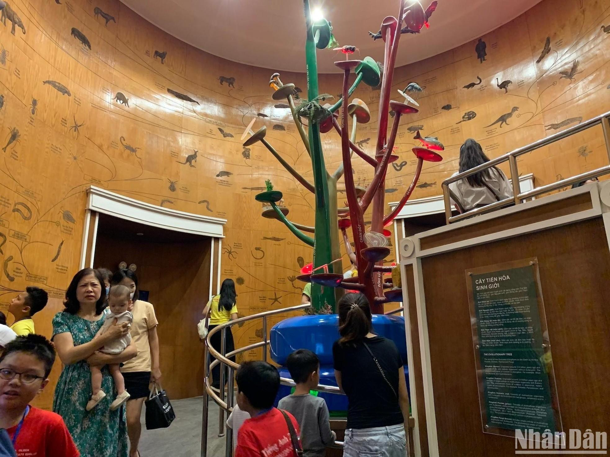 El árbol de evolución detalla el diverso mundo de los cinco reinos de los seres vivos: protista, monera, fungi, plantae y animalia.