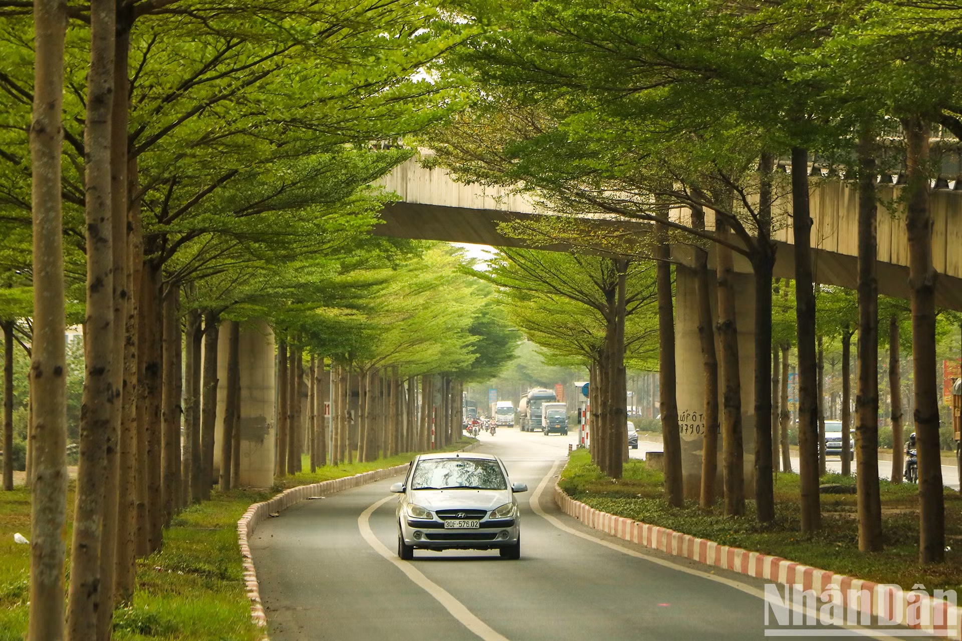 Los almendros se alzan a ambos lados de la intersección 5, que conduce a la carretera nacional 1. Los almendros se alzan a ambos lados de la intersección 5, que conduce a la carretera nacional 1.