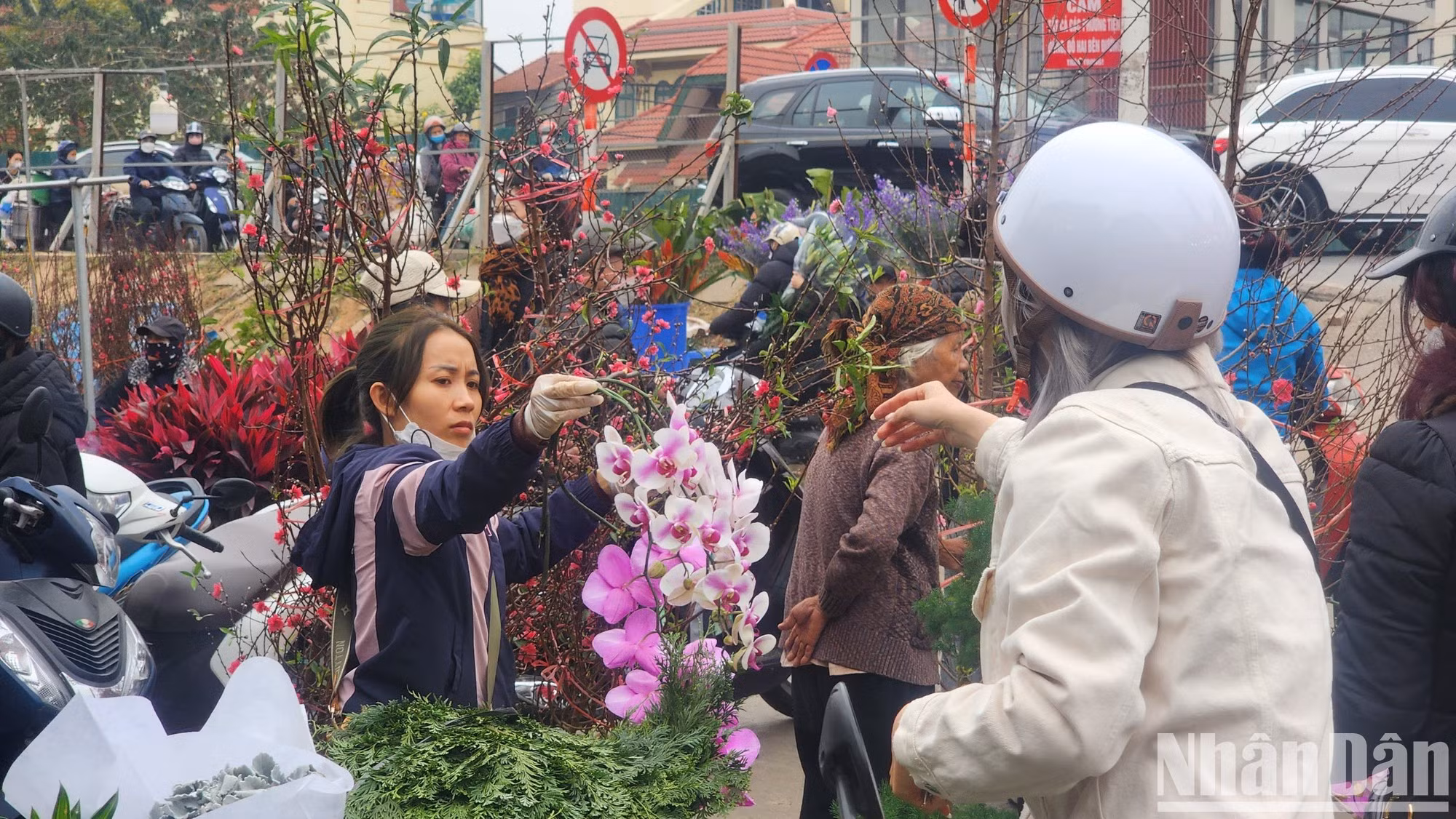 Compradores entusiasmados por la orquídea.