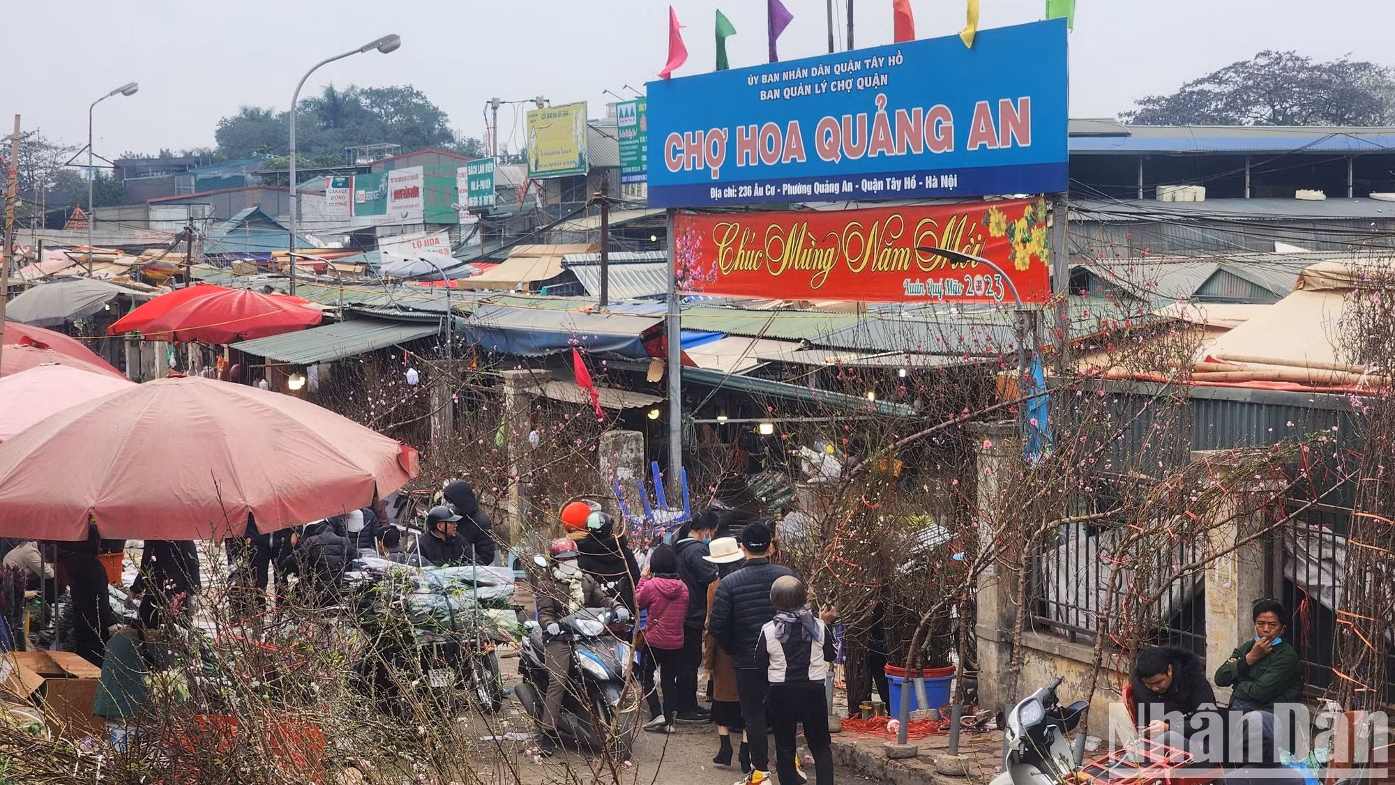 Durante los días anteriores a la Fiesta del Año Nuevo Lunar (Tet) el mercado floral de Quang Ba se torna más bullicioso.