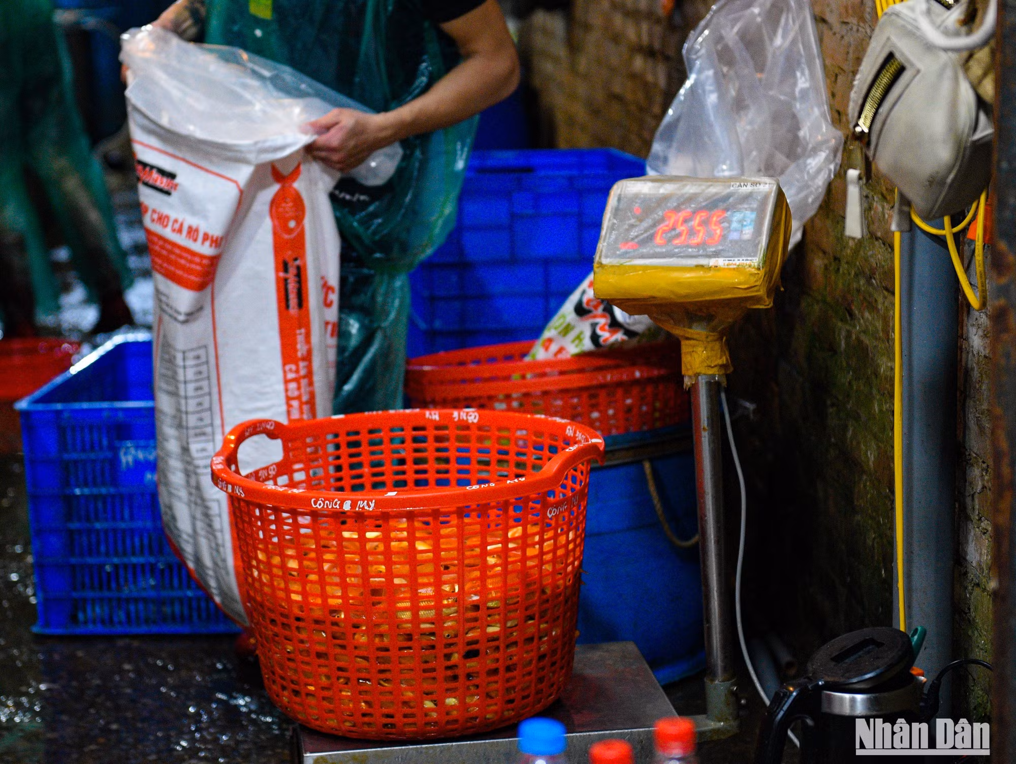Por quedar solo dos días para la despedida a Ong Cong y Ong Tao, los comerciantes no traen tantas carpas.