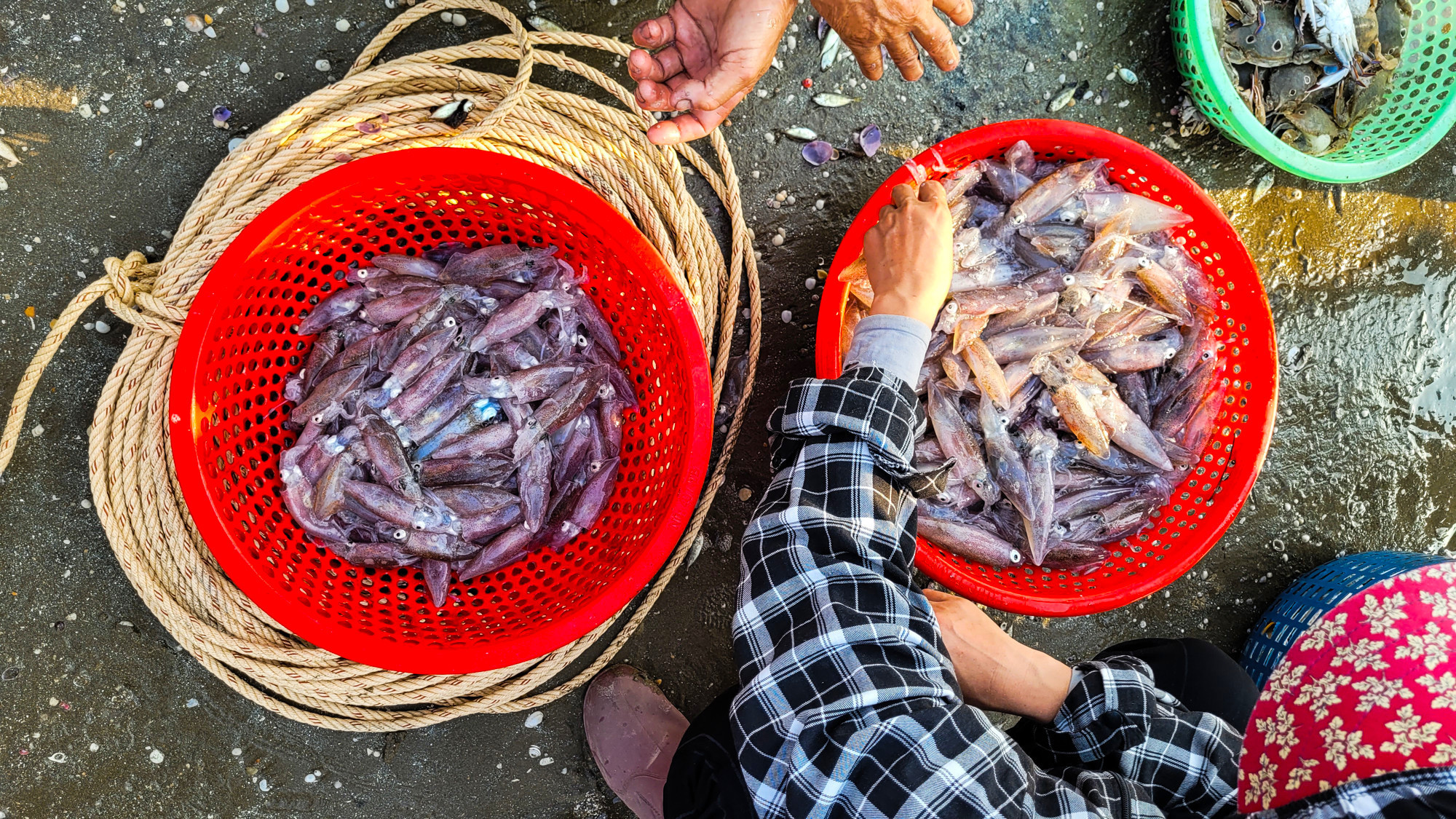 Los mariscos capturados se venden a pequeños comerciantes en la misma orilla.