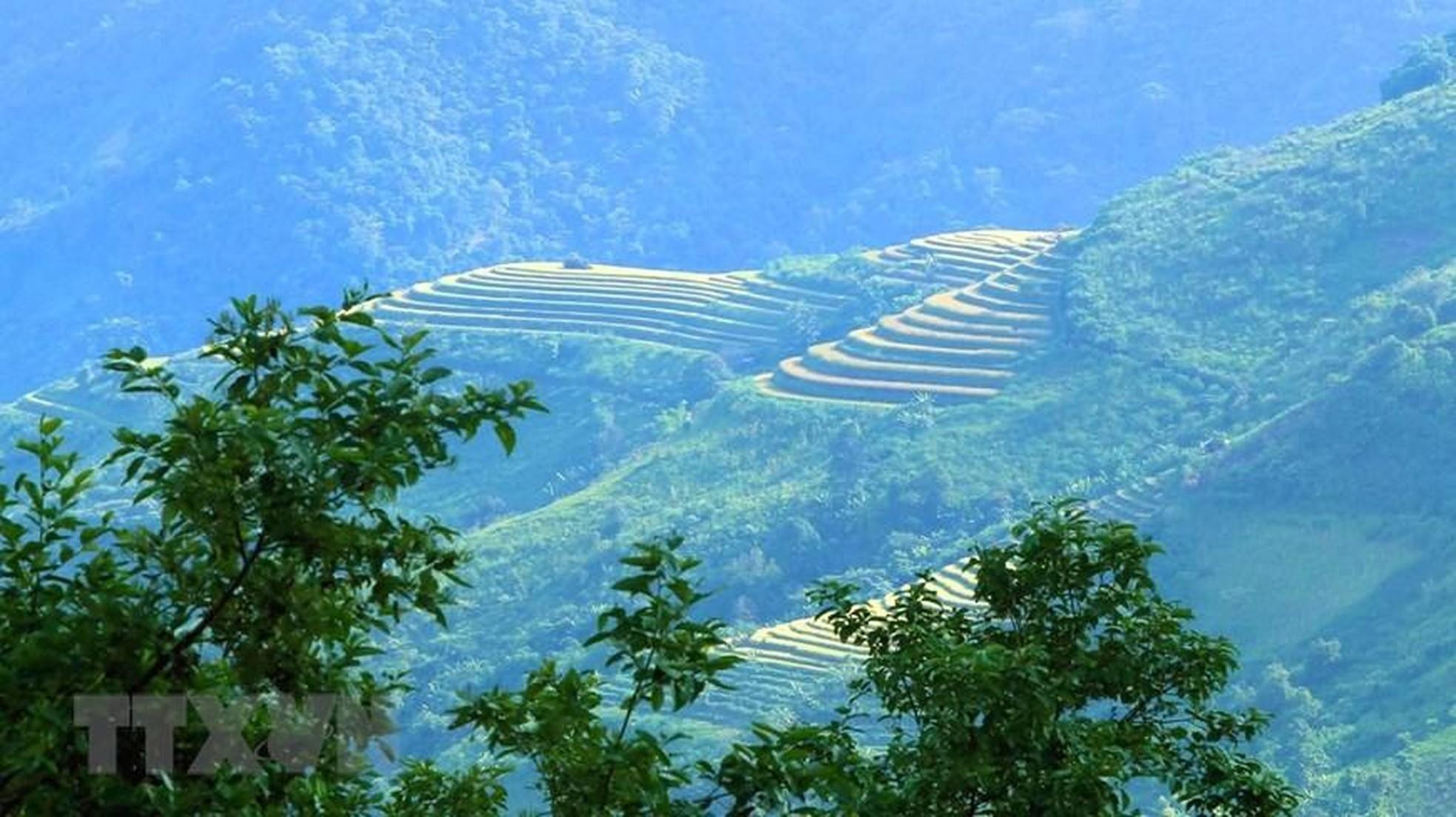 El sol dorado de otoño haceque los campos sean más brillantes y fantasiosos entre las vastas montañas del Noroestes.
