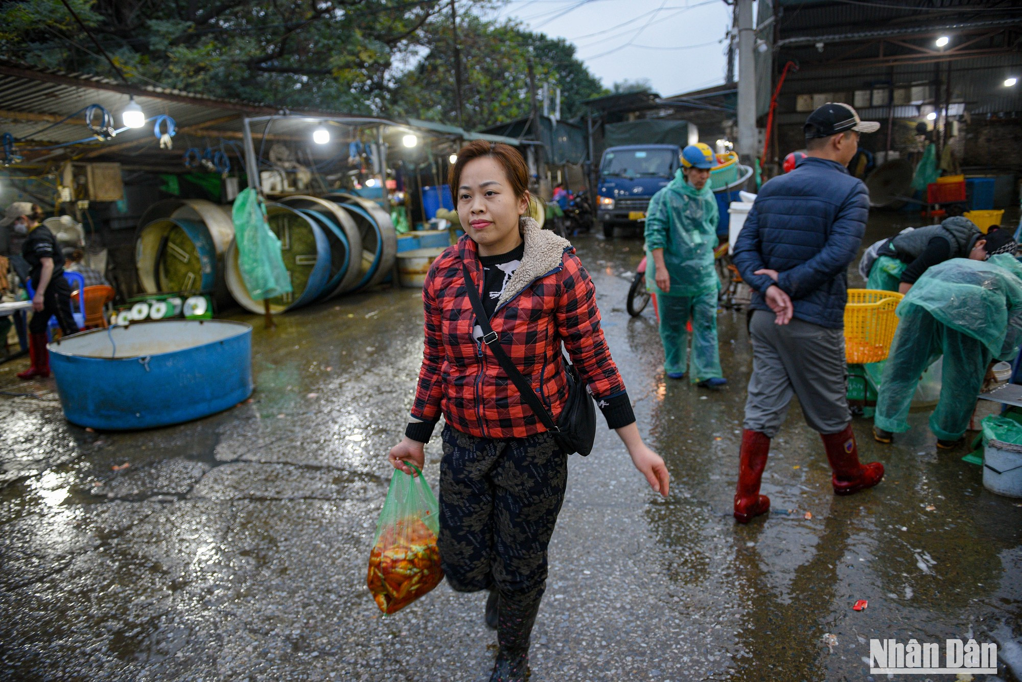 Los vendedores seleccionan con cuidado su producto. Los vendedores seleccionan con cuidado su producto.