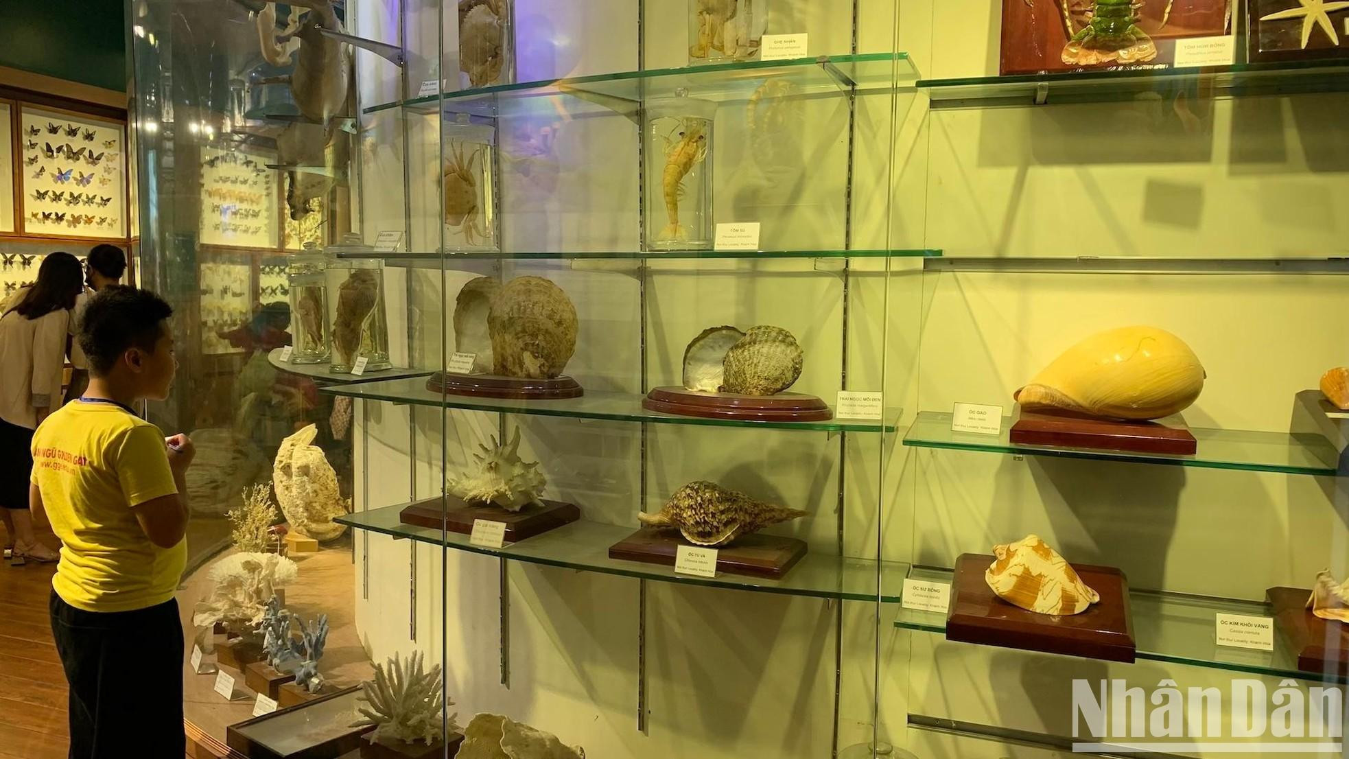 Área de exhibición de vertebrados y vida marina.