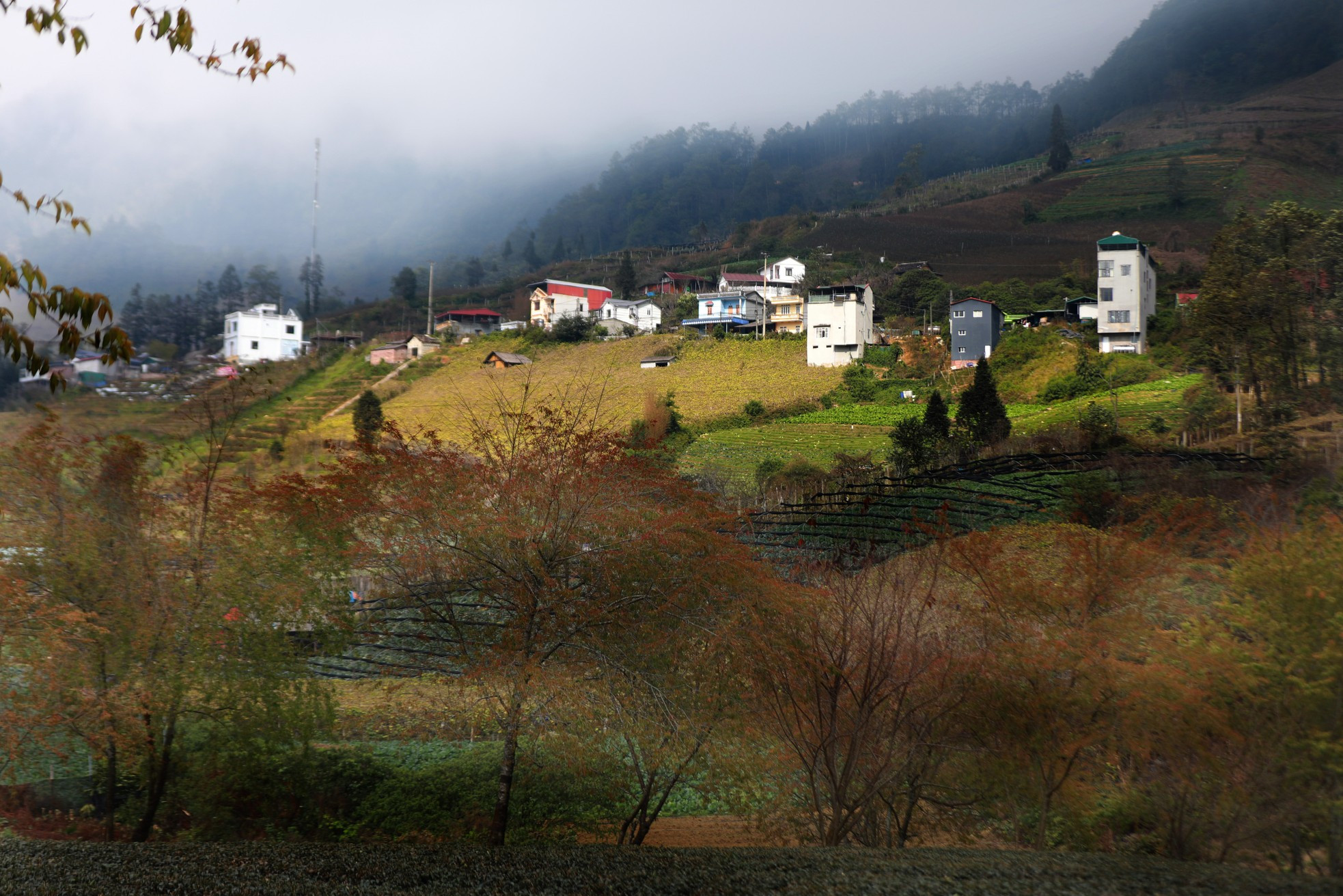 Aunque no es un destino nuevo, no todos los que vienen a Sapa conocen este lugar. Aunque no es un destino nuevo, no todos los que vienen a Sapa conocen este lugar.