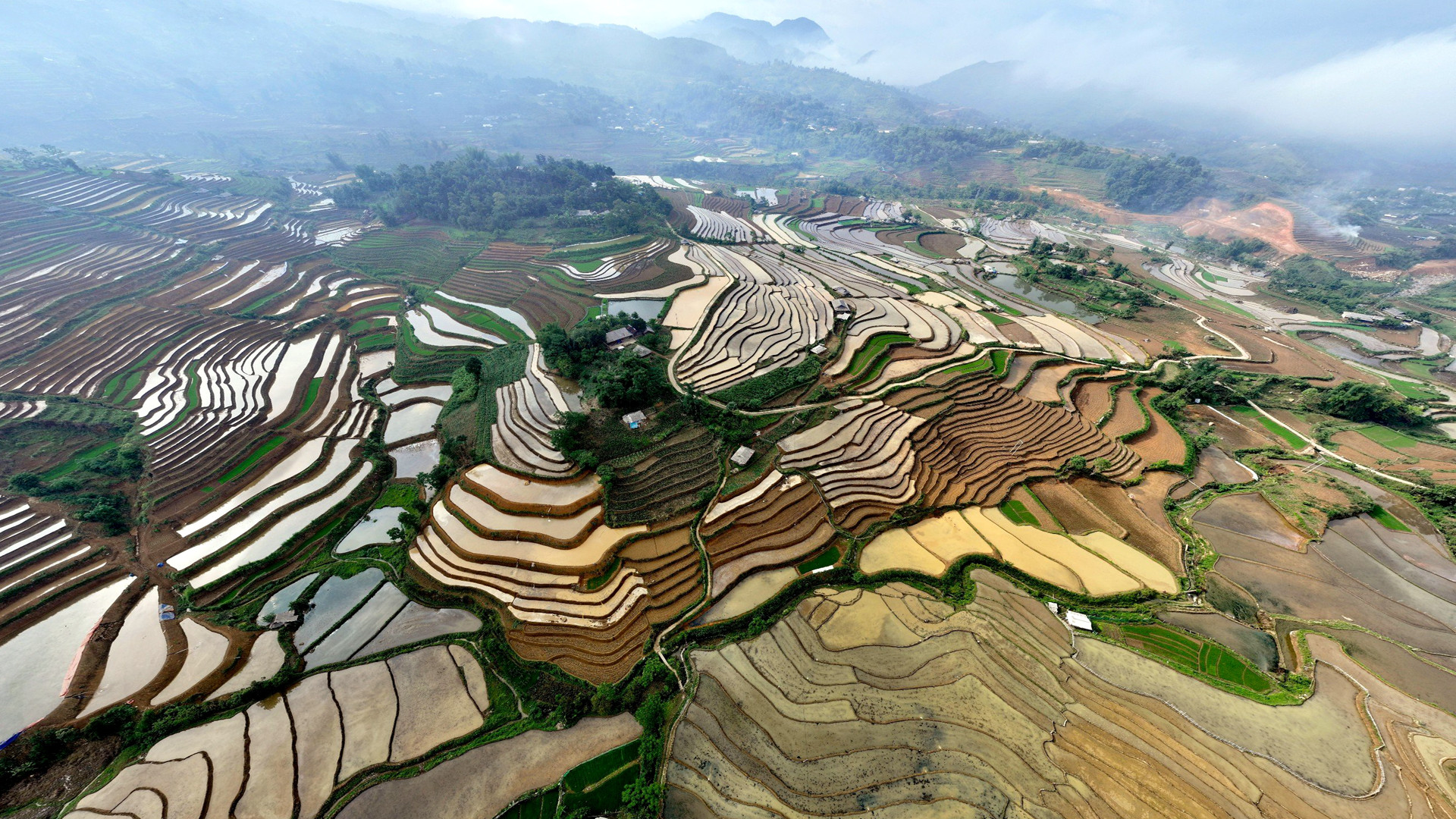 [Foto] Bella temporada de arroz dorado en Lai Chau