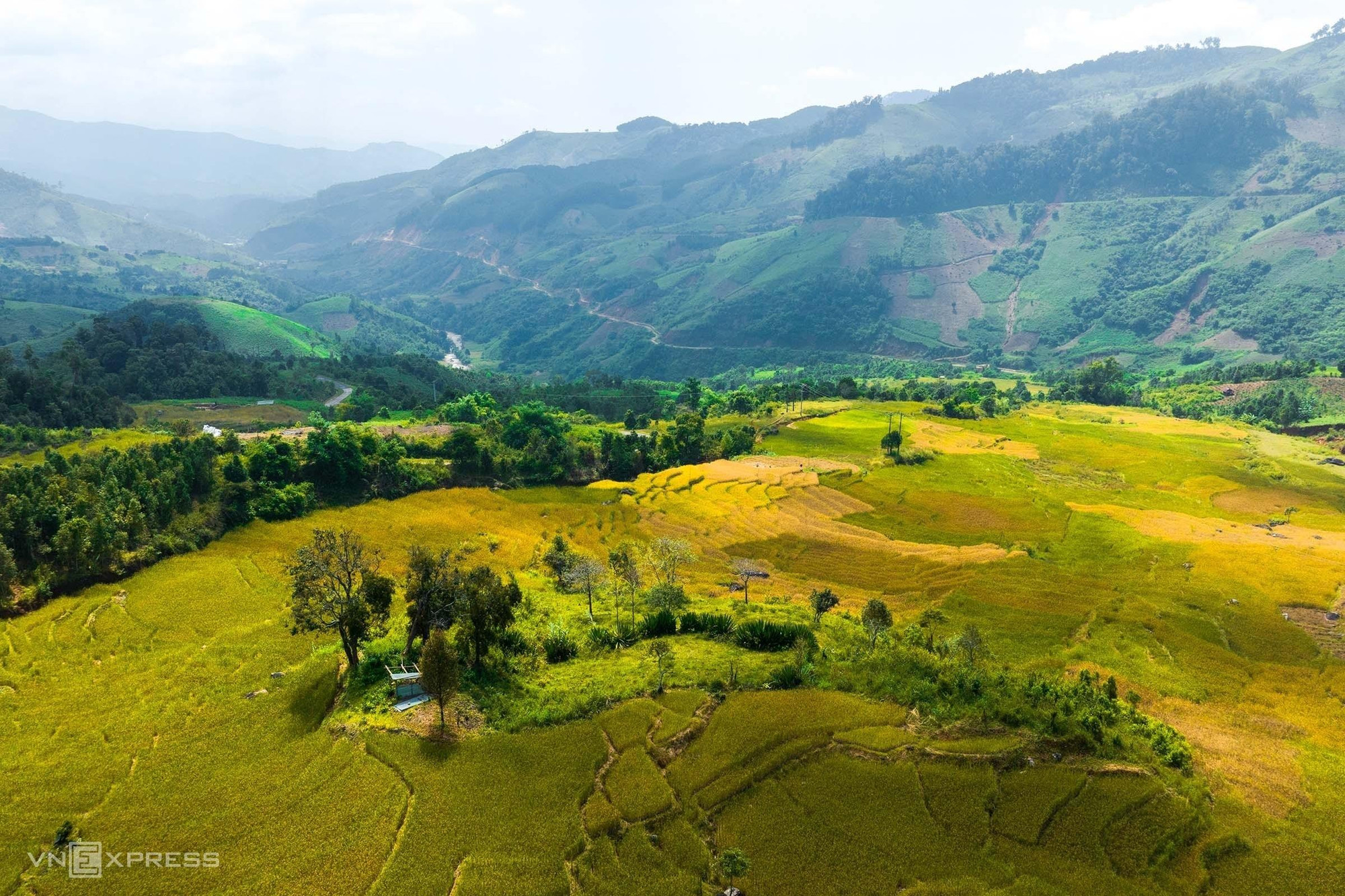 Las terrazas doradas en la aldea de Te Xang, distrito de Tu Mo Rong. Las terrazas doradas en la aldea de Te Xang, distrito de Tu Mo Rong.