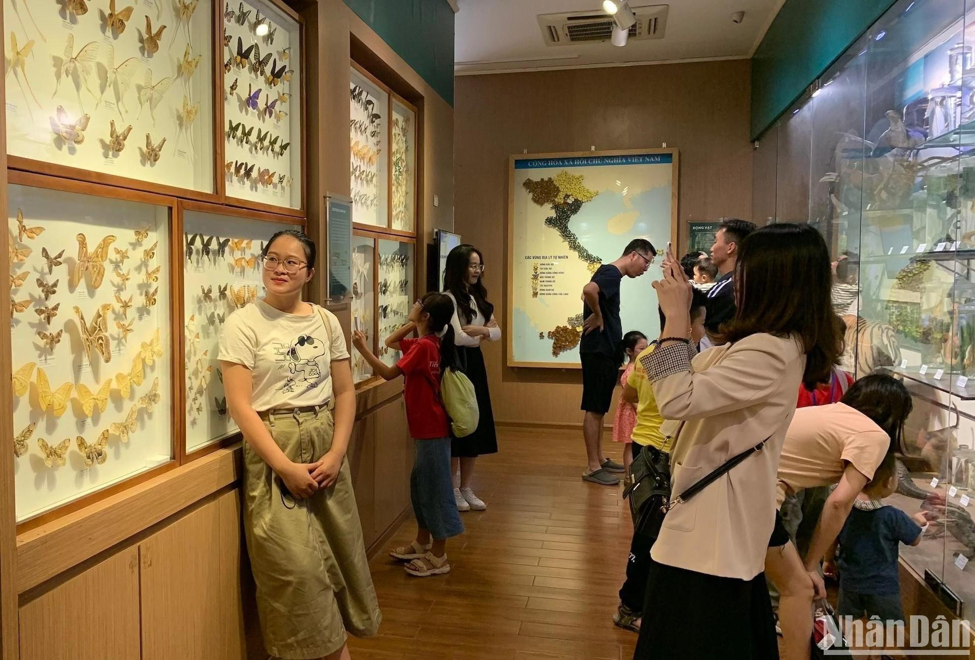 Interesante exhibición de insectos.