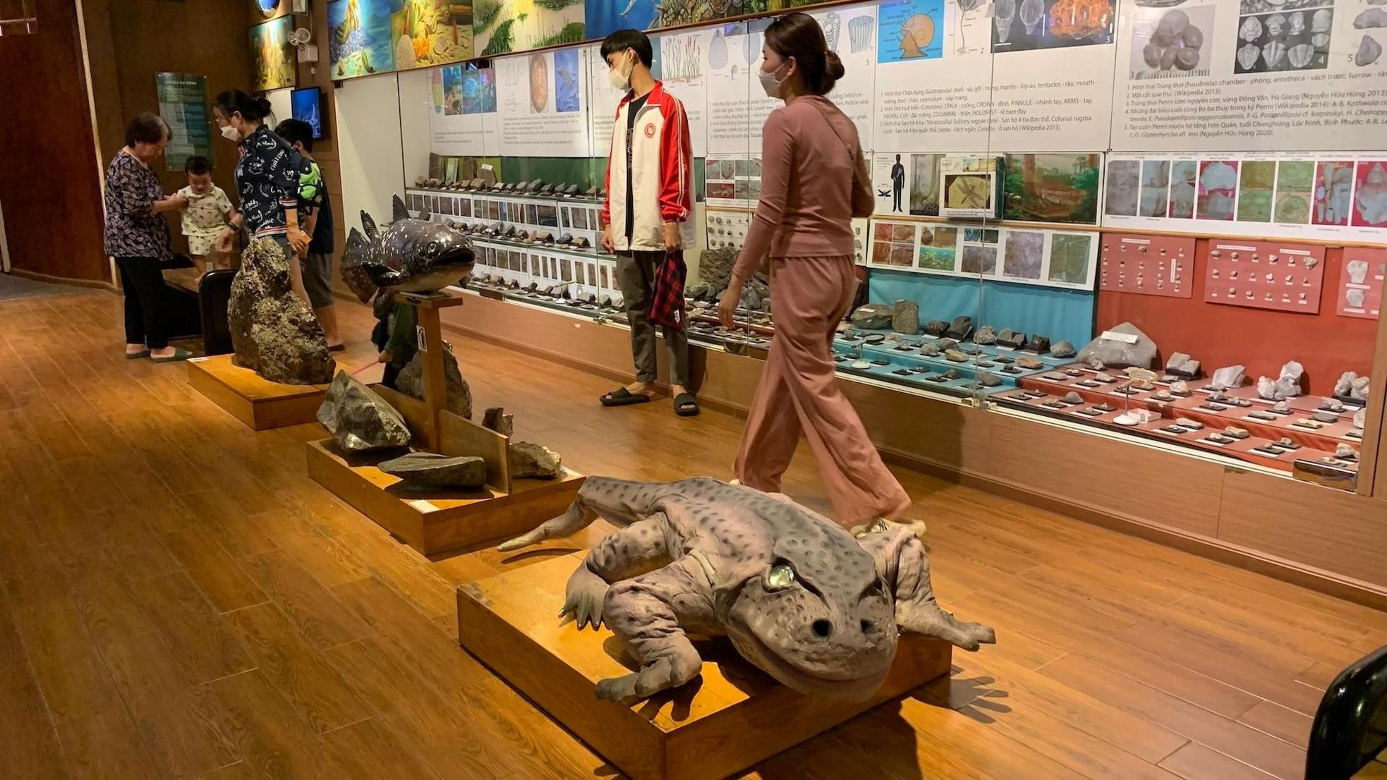 En cada área se presenta la evolución y el desarrollo de la fauna y flora del período correspondiente.