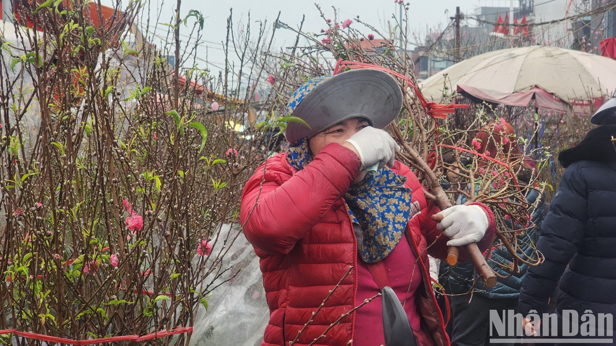 Según los vendedores, la demanda de los consumidores no es tan alta como en el año anterior. Según los vendedores, la demanda de los consumidores no es tan alta como en el año anterior.