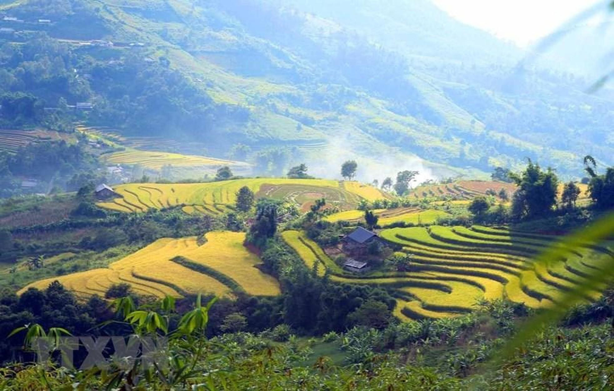Aparece un panorama vívido bajo el sol de la tarde.