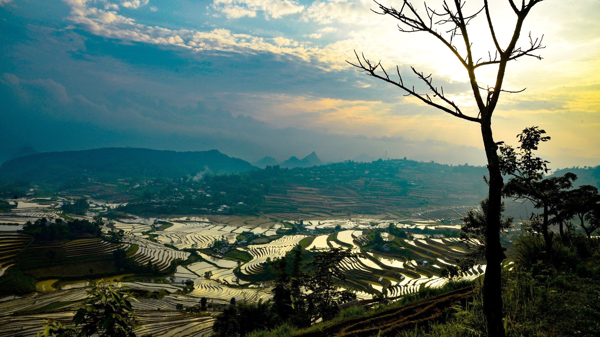 Las terrazas de arroz brindan un panorama virgen y tranquilo de la tierra alta de Lai Chau.