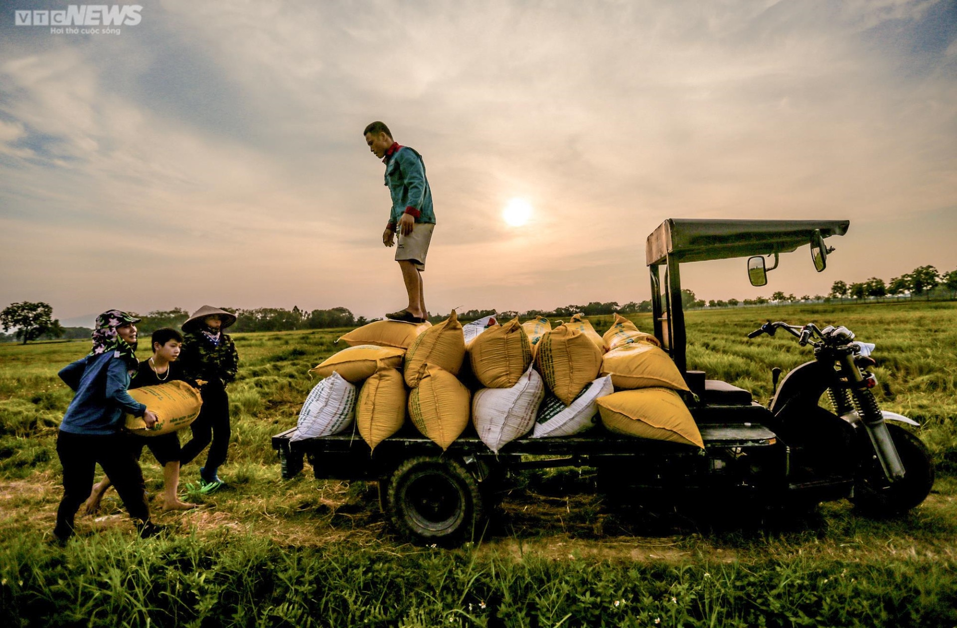 A la luz del atardecer de la temporada del arroz, la alegre sonrisa del campesino irradia una apacible belleza.
